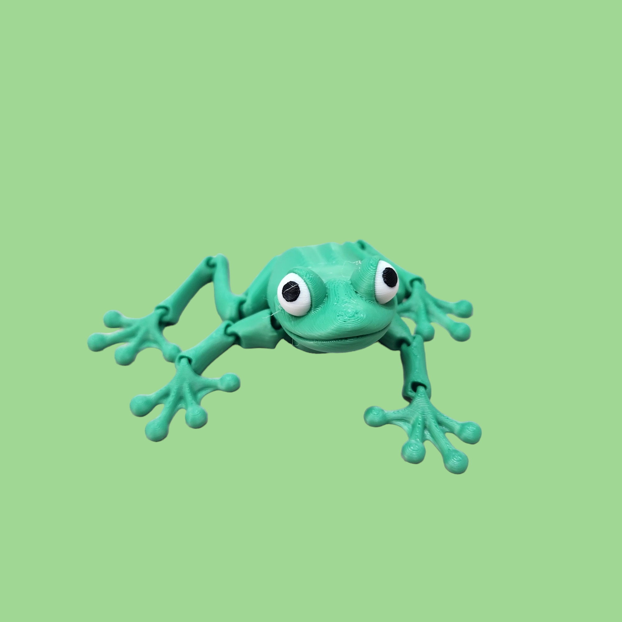 Frog