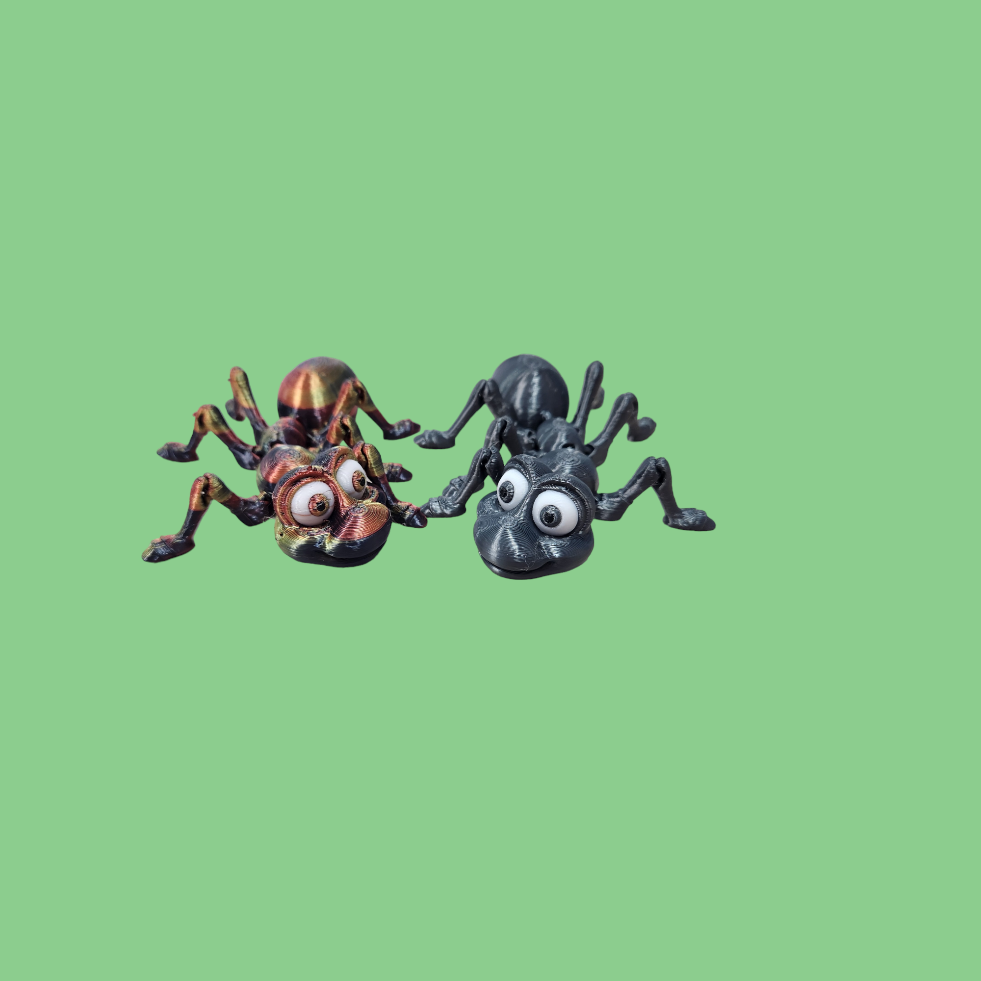 Ant