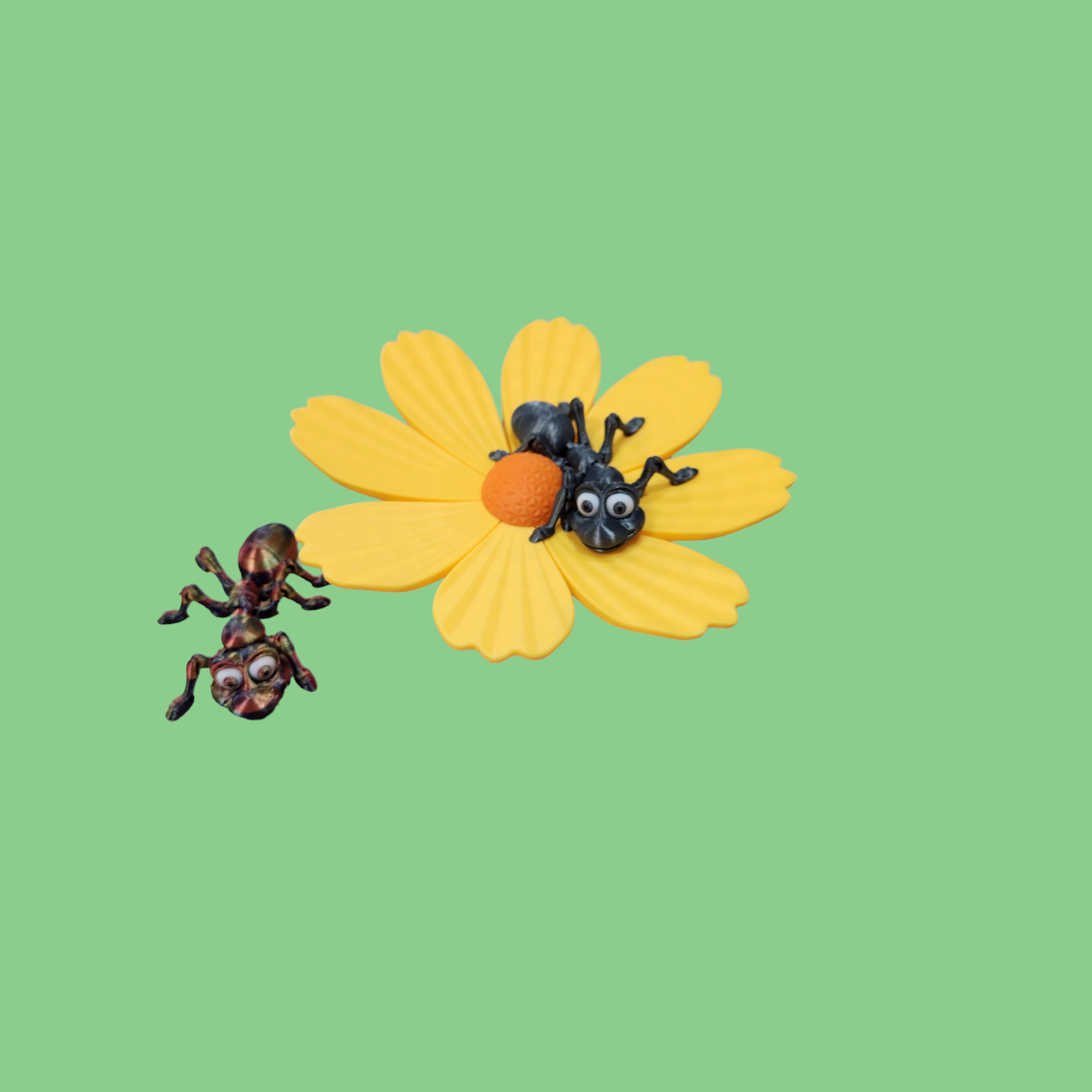 Ant