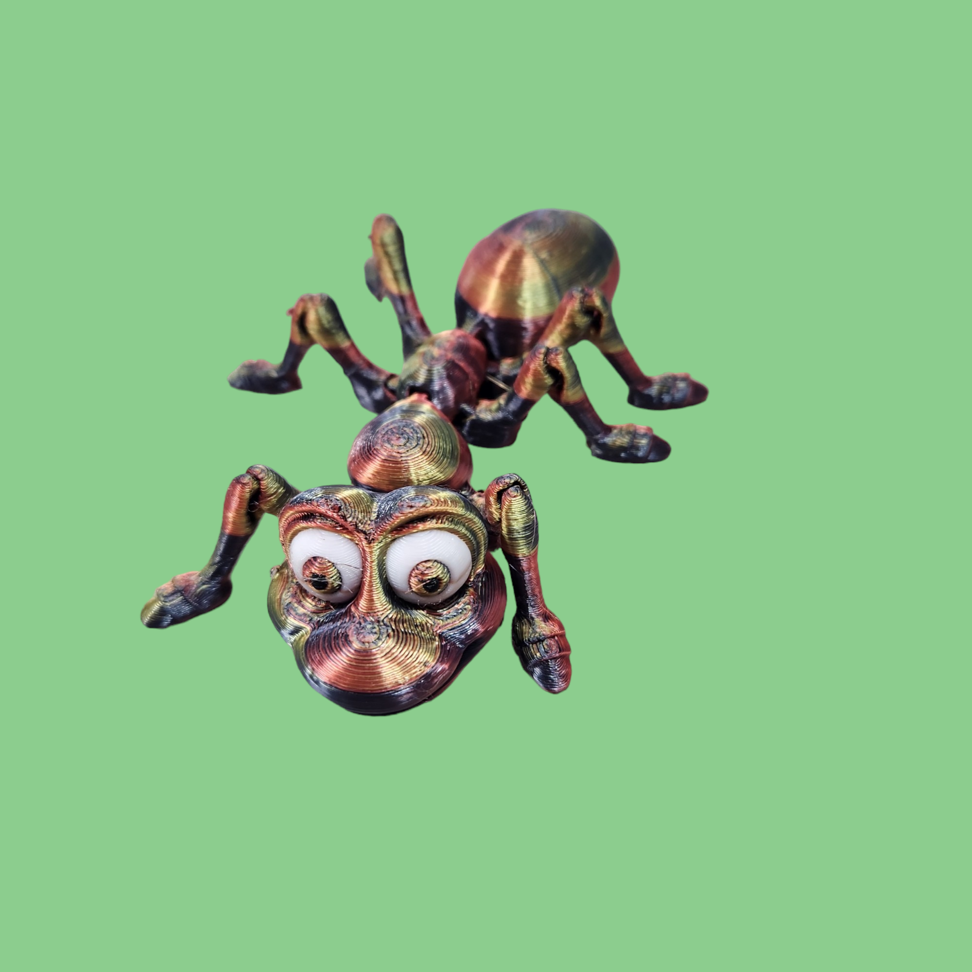 Ant