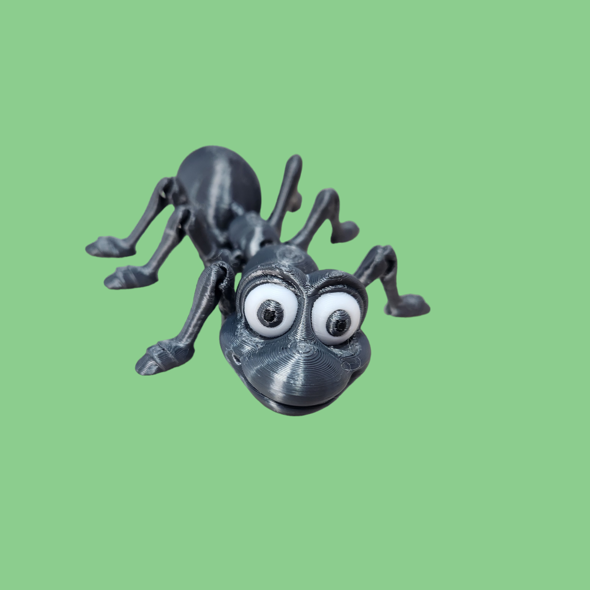 Ant