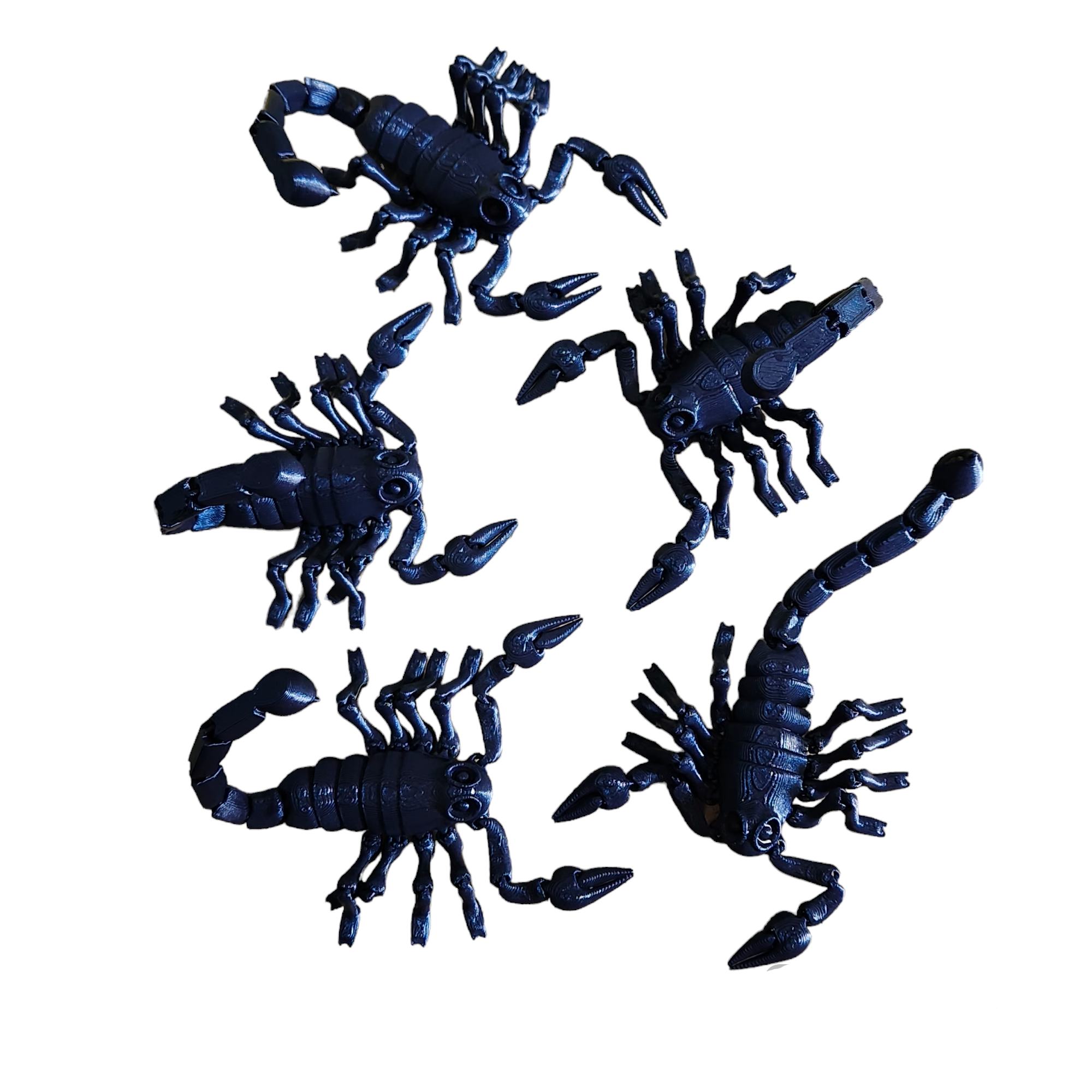 Scorpion
