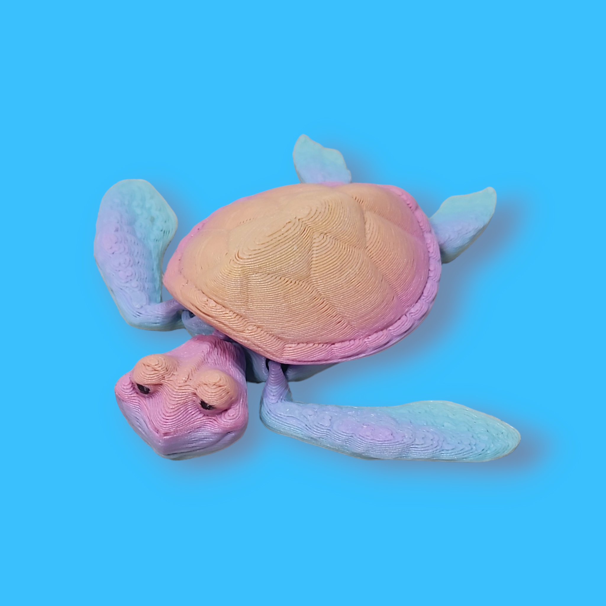 Sea Turtle