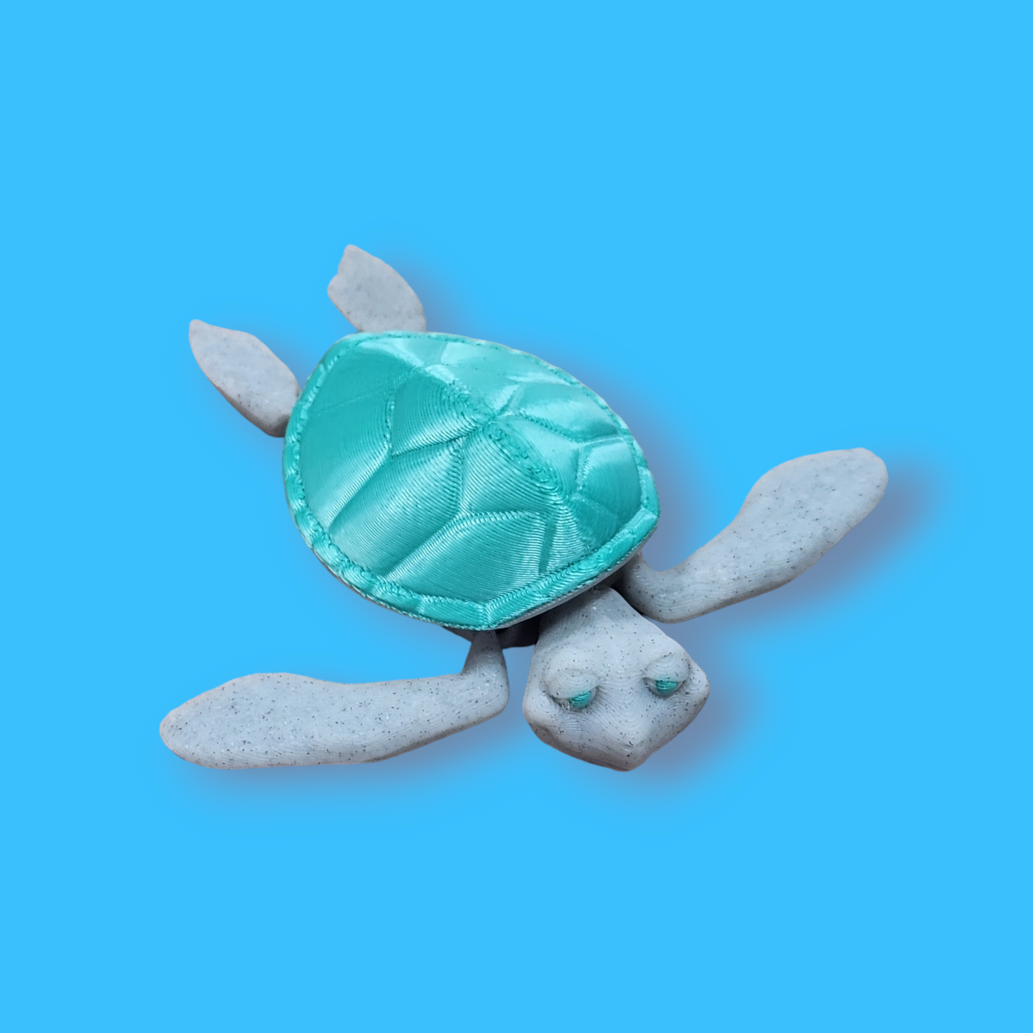 Sea Turtle