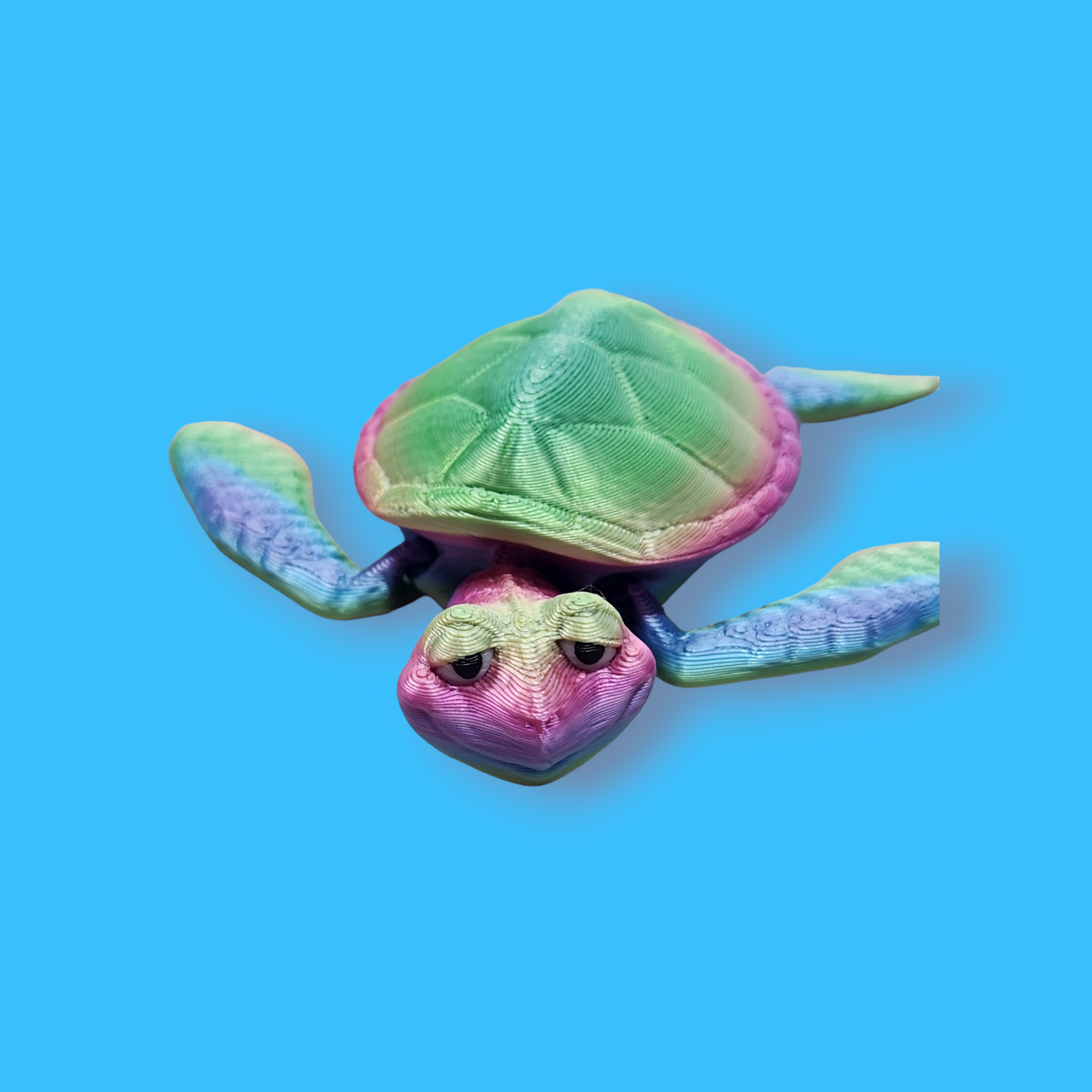 Sea Turtle