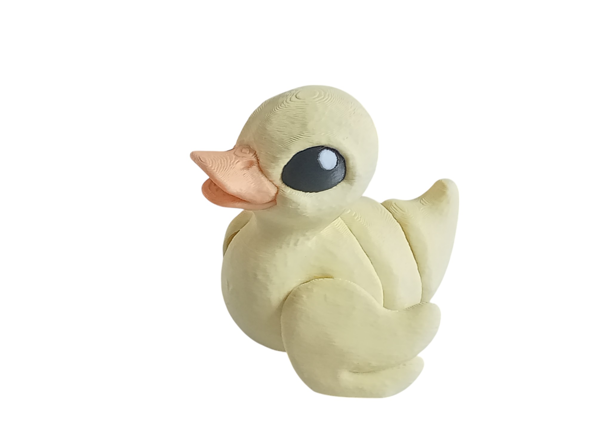 Duckling or Malard Duck