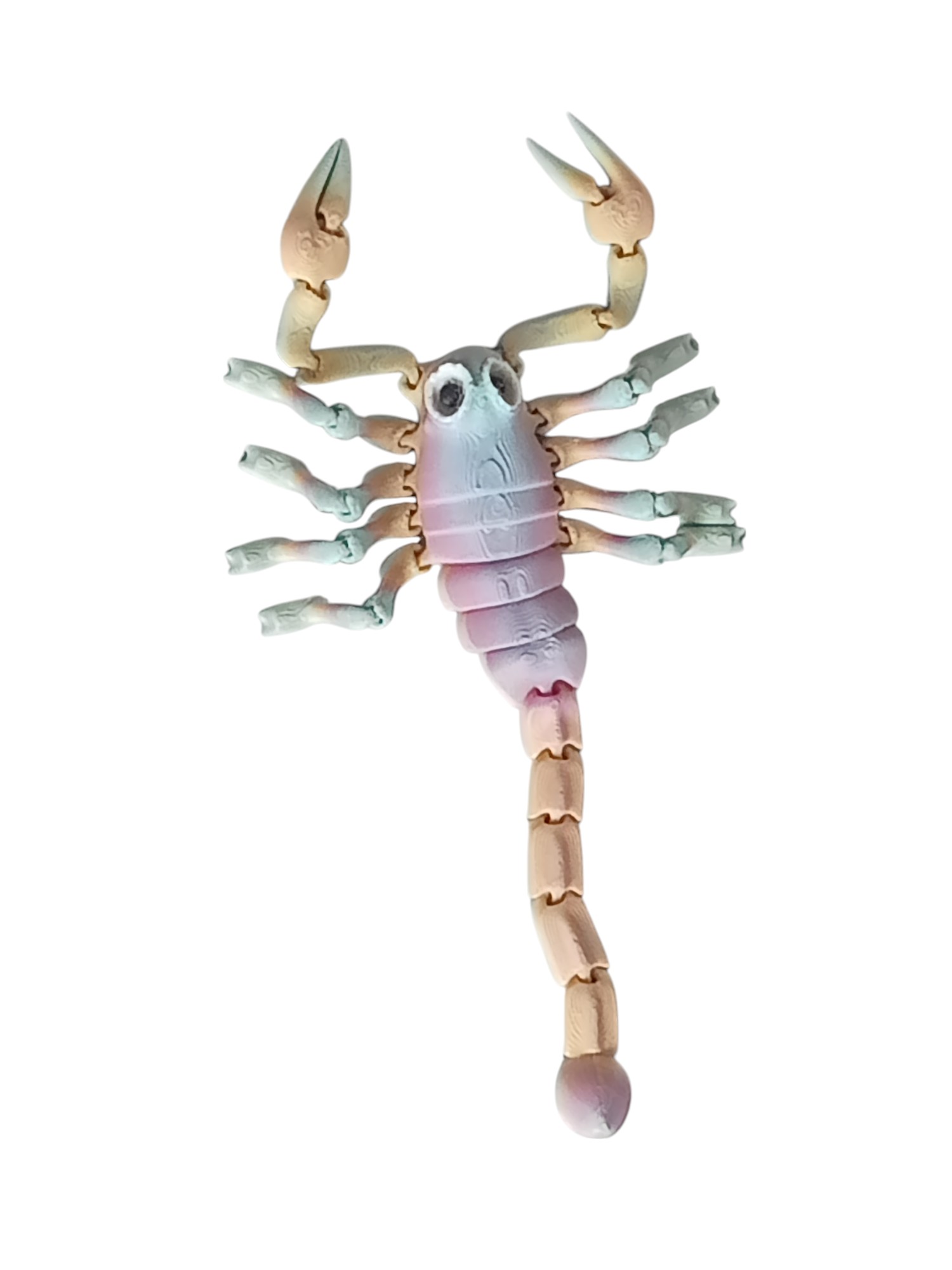 Scorpion