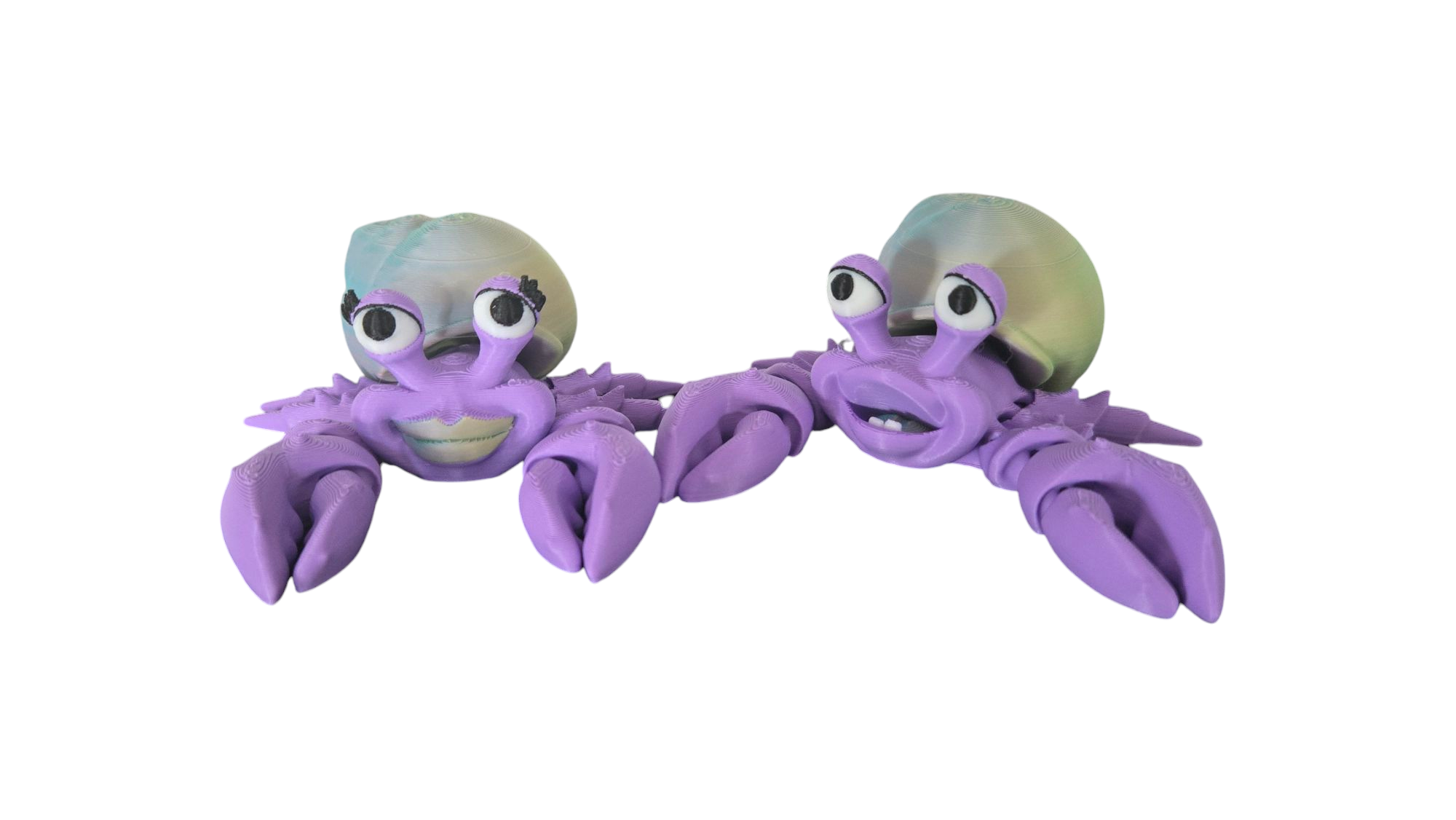 Hermit Crab