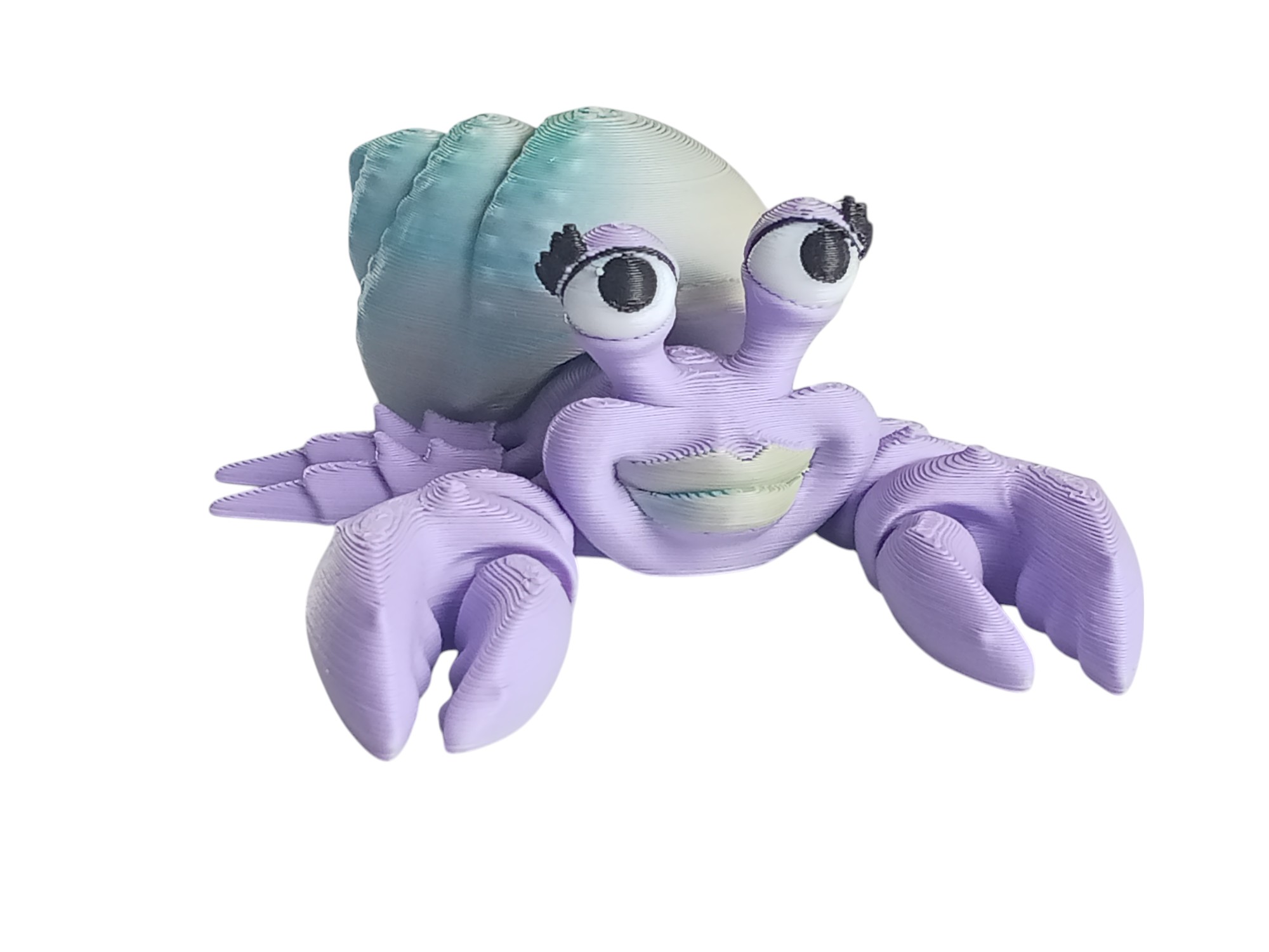 Hermit Crab