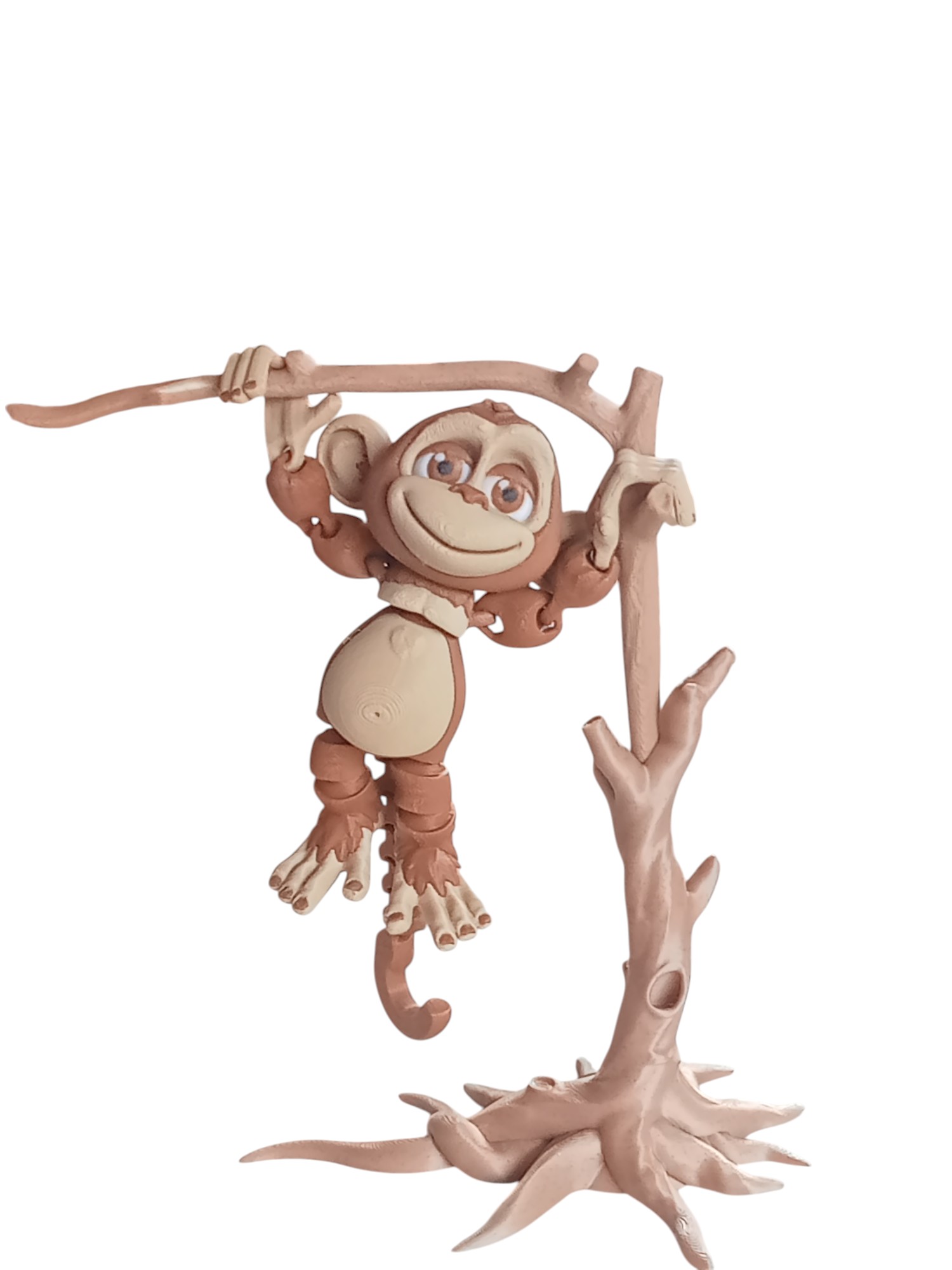 Silly Monkey