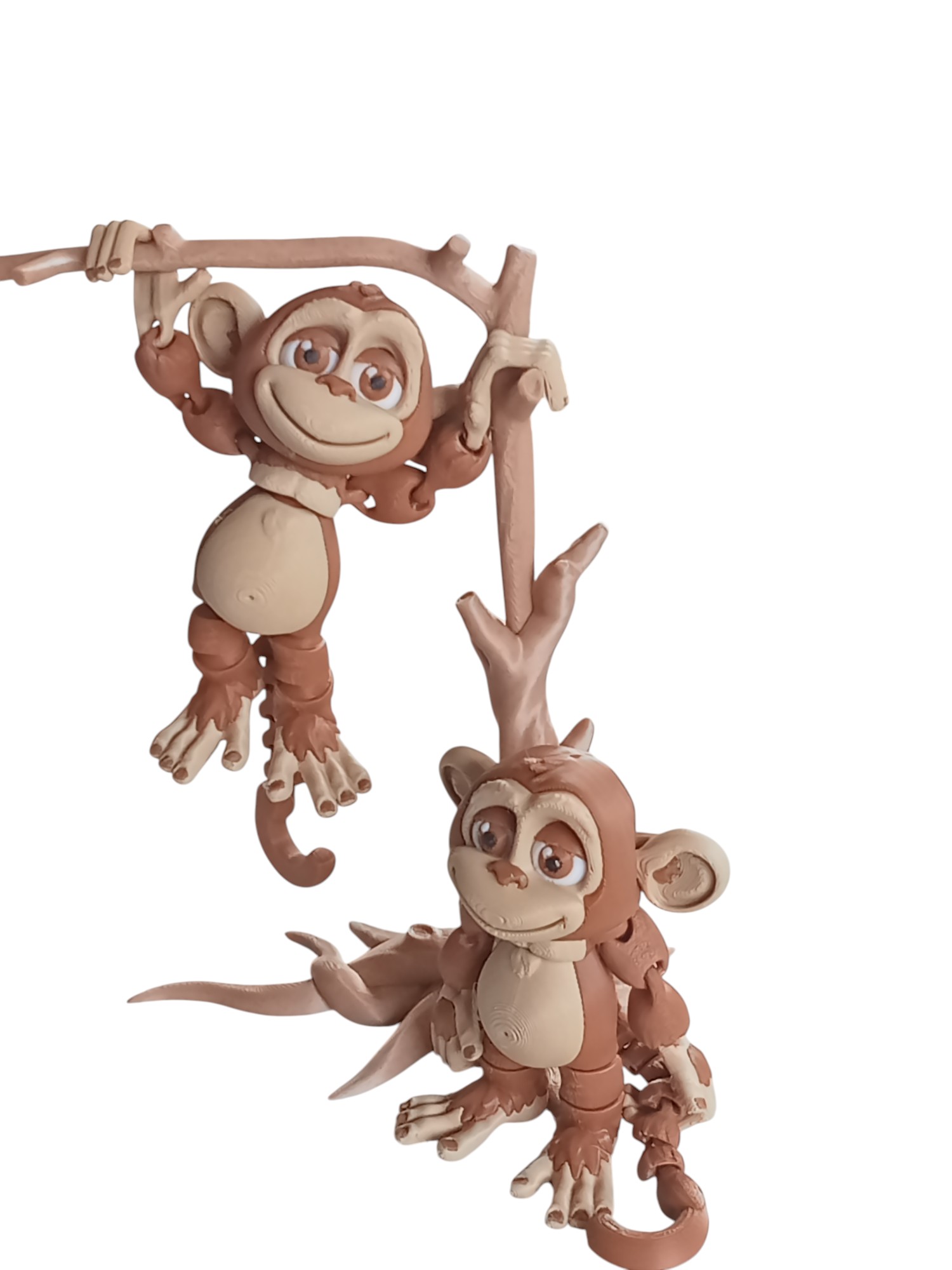 Silly Monkey