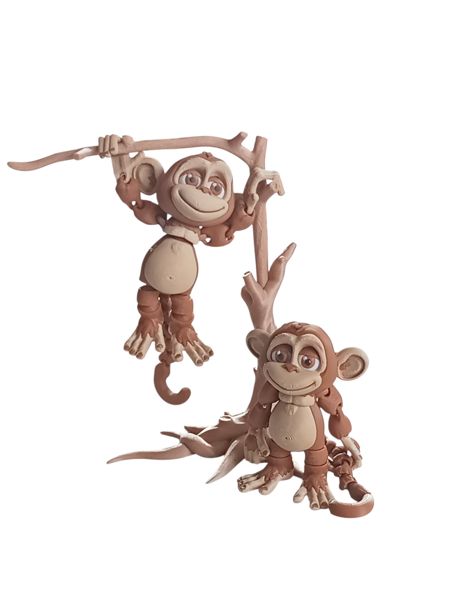 Silly Monkey