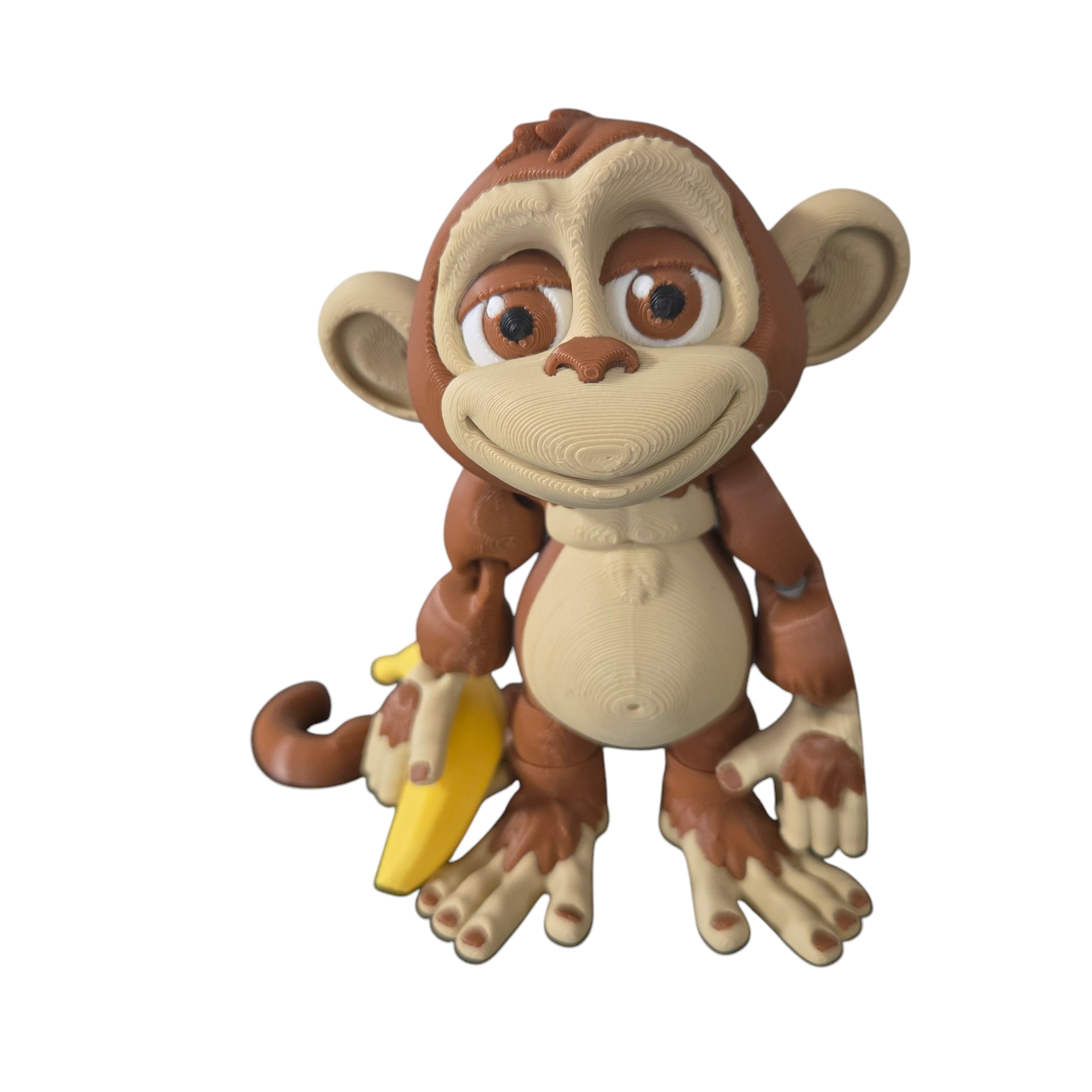 Silly Monkey