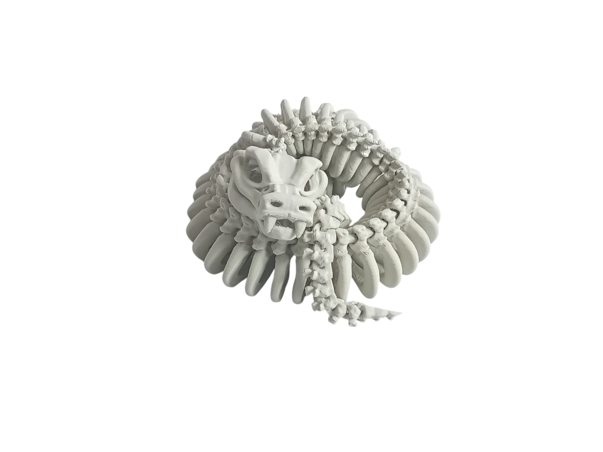 Skeleton Snake