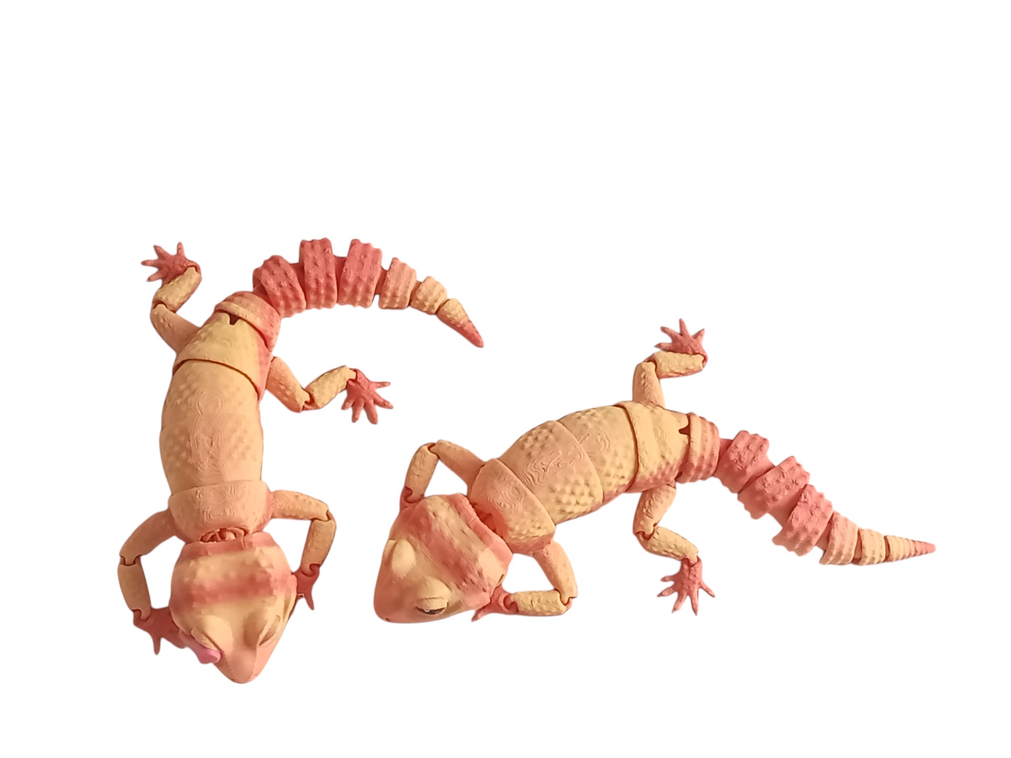 Leopard Gecko
