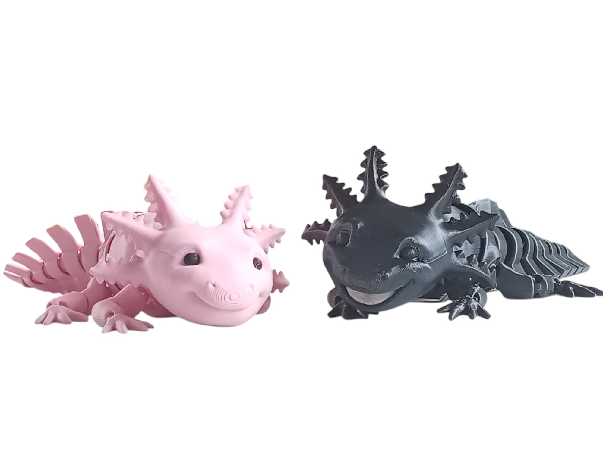 Axolotl