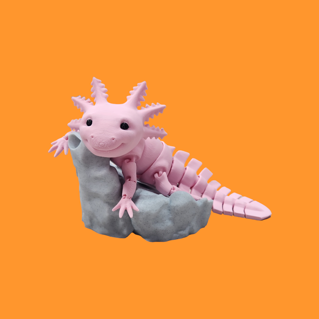Axolotl