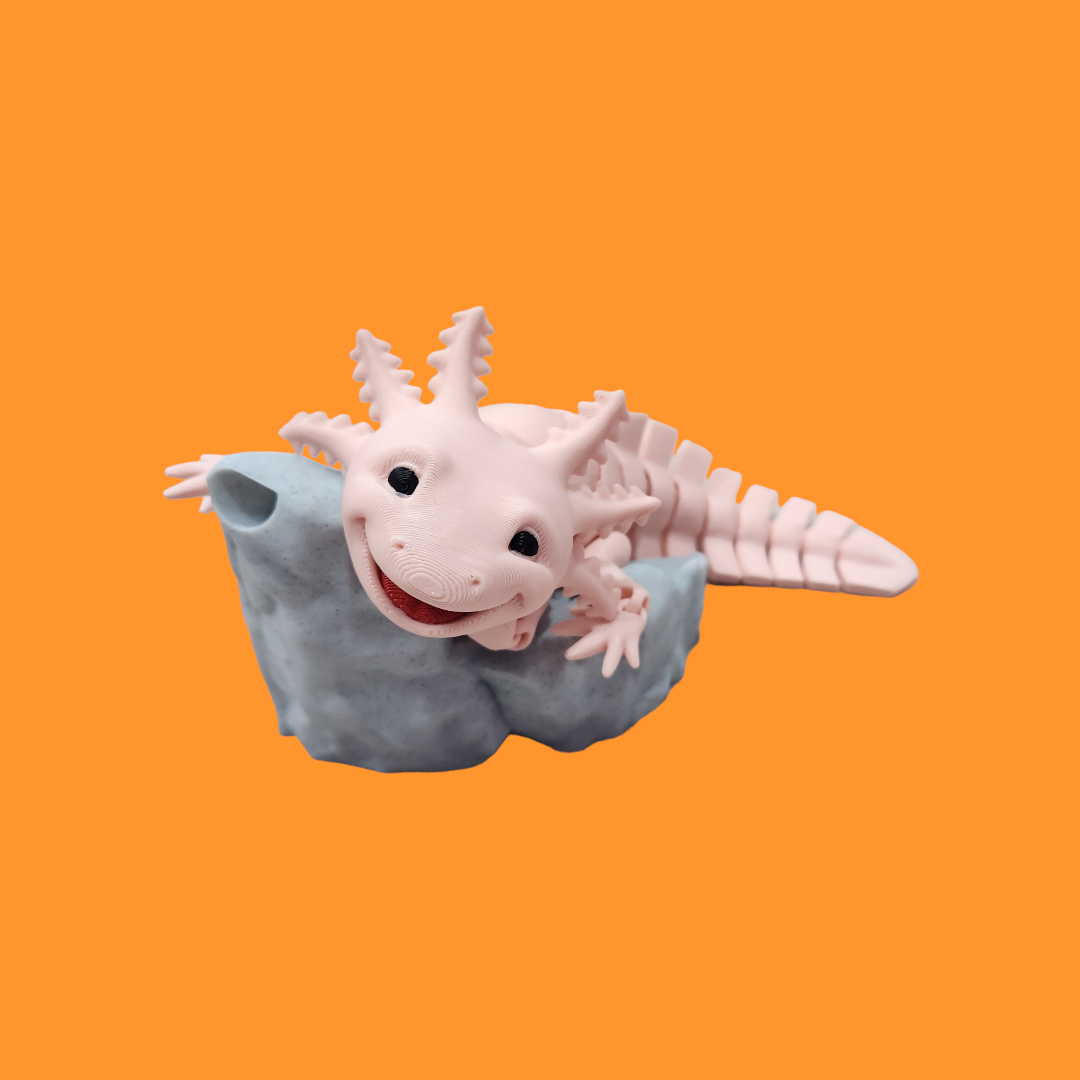 Axolotl