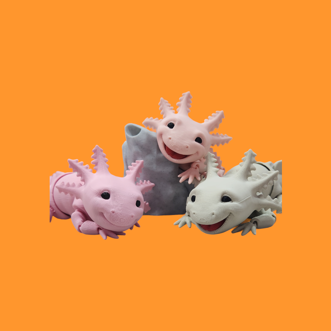 Axolotl