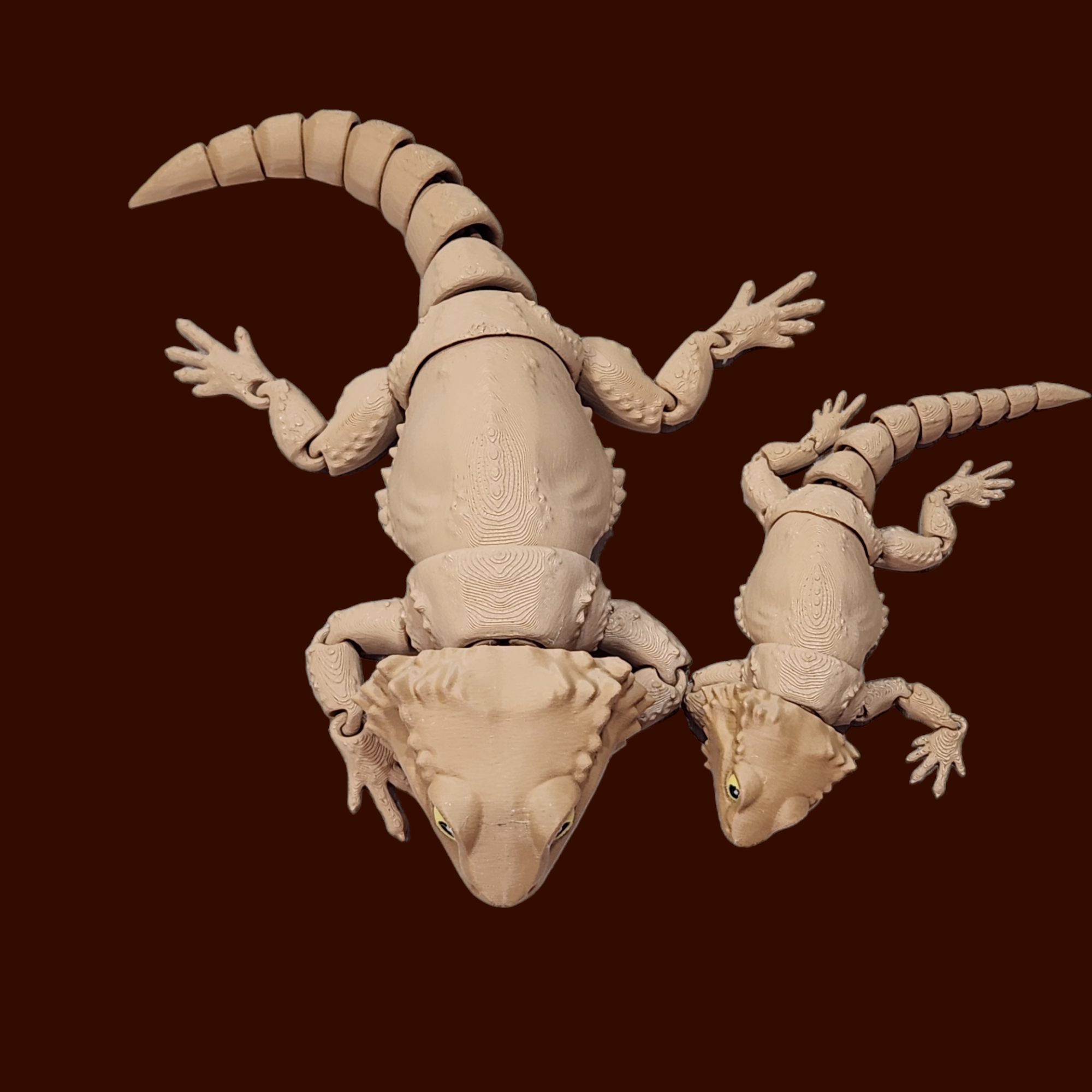 Bearded Dragon