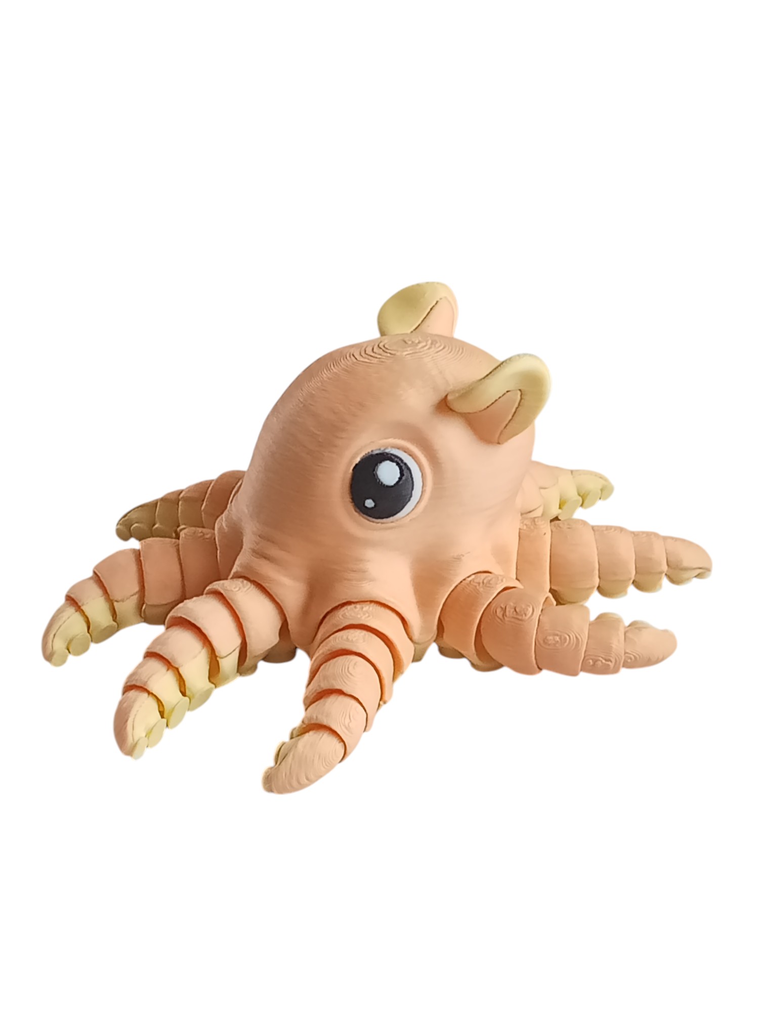 Flapjack Octopus