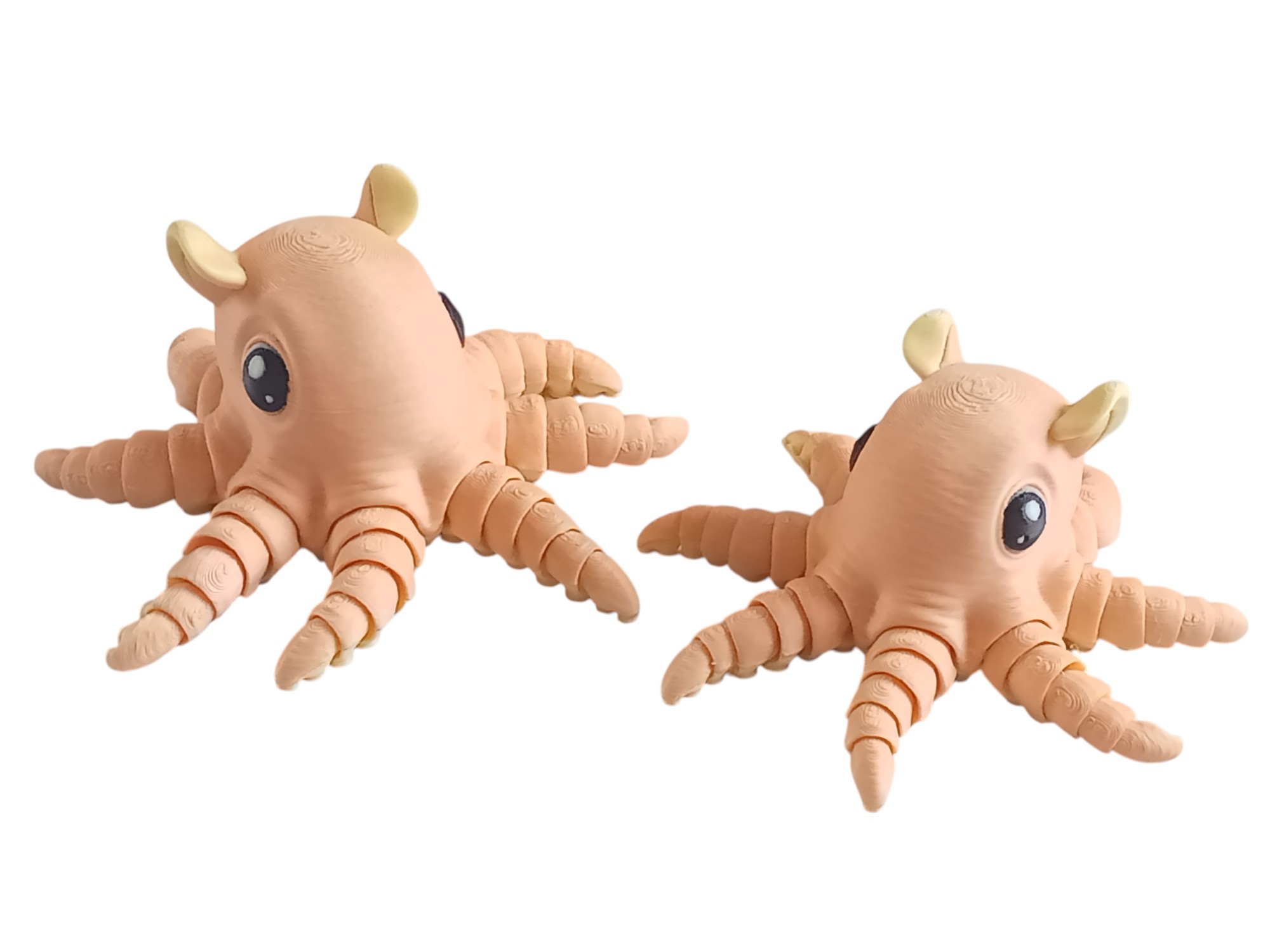 Flapjack Octopus