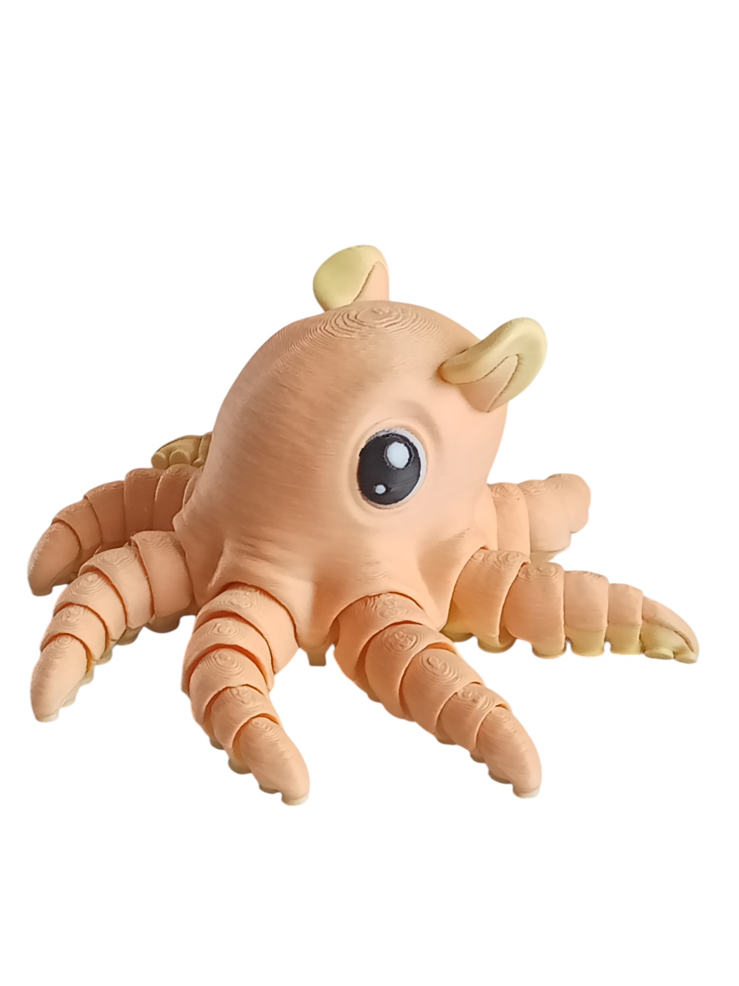 Flapjack Octopus