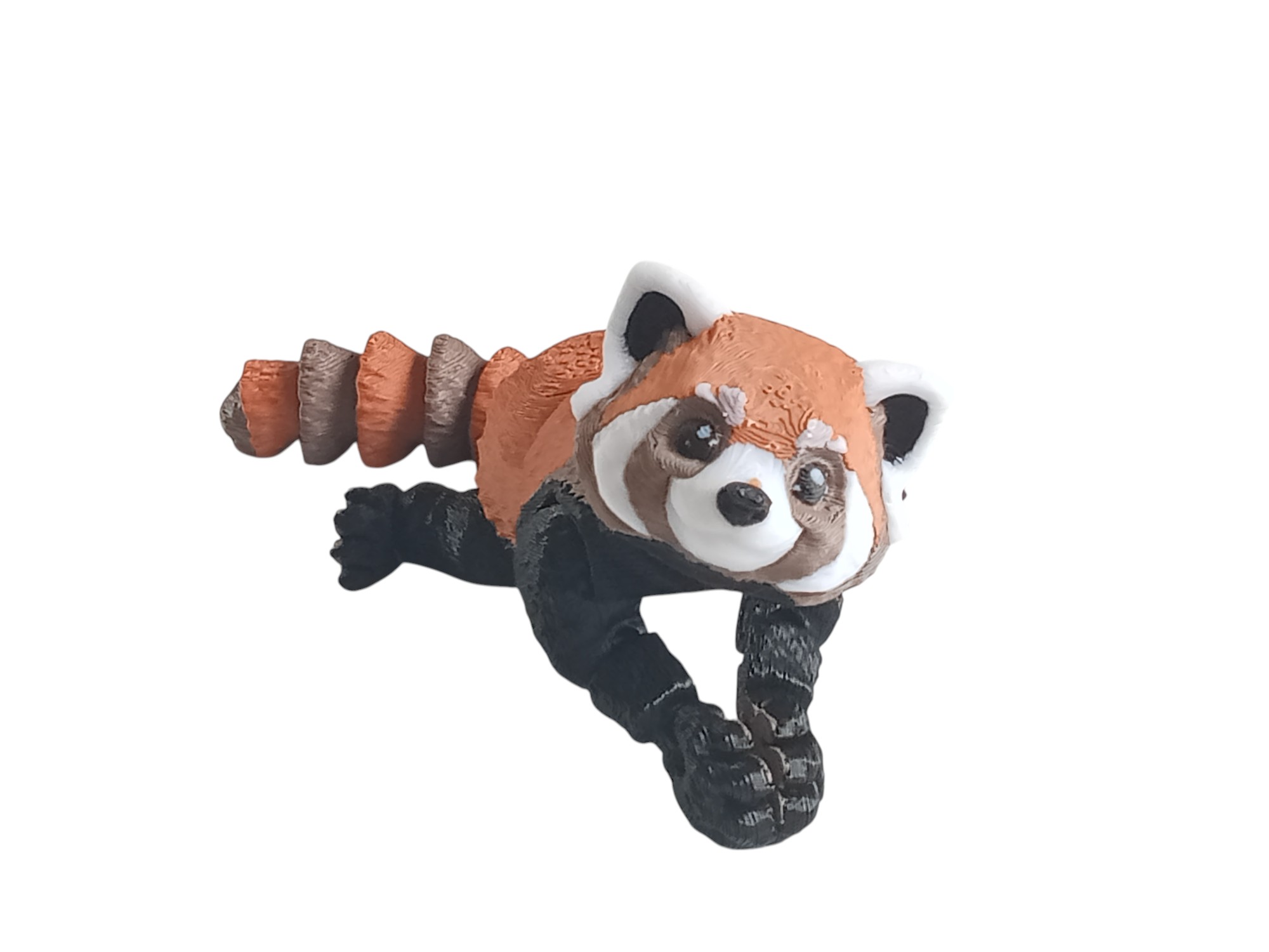 Red Panda