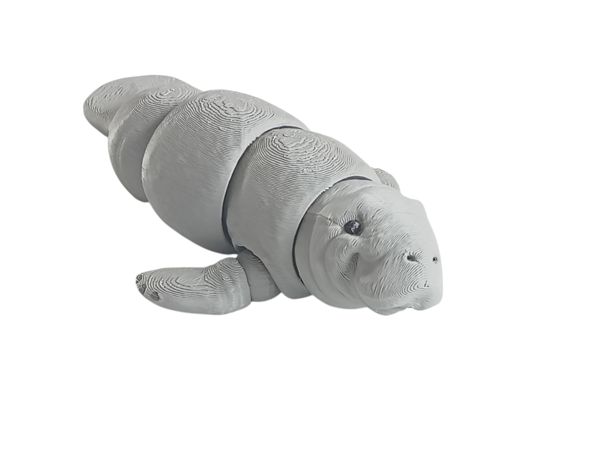 Manatee