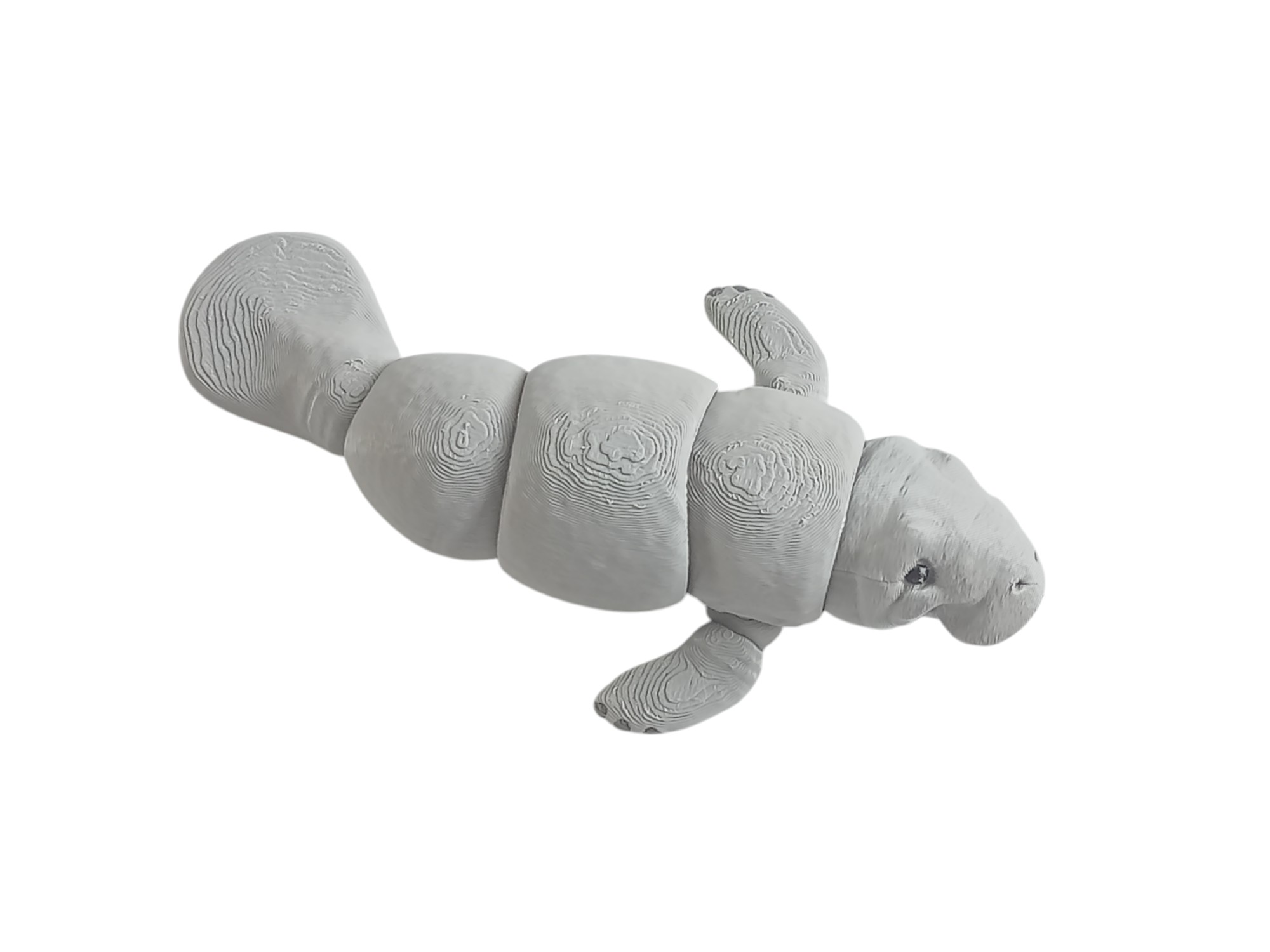 Manatee