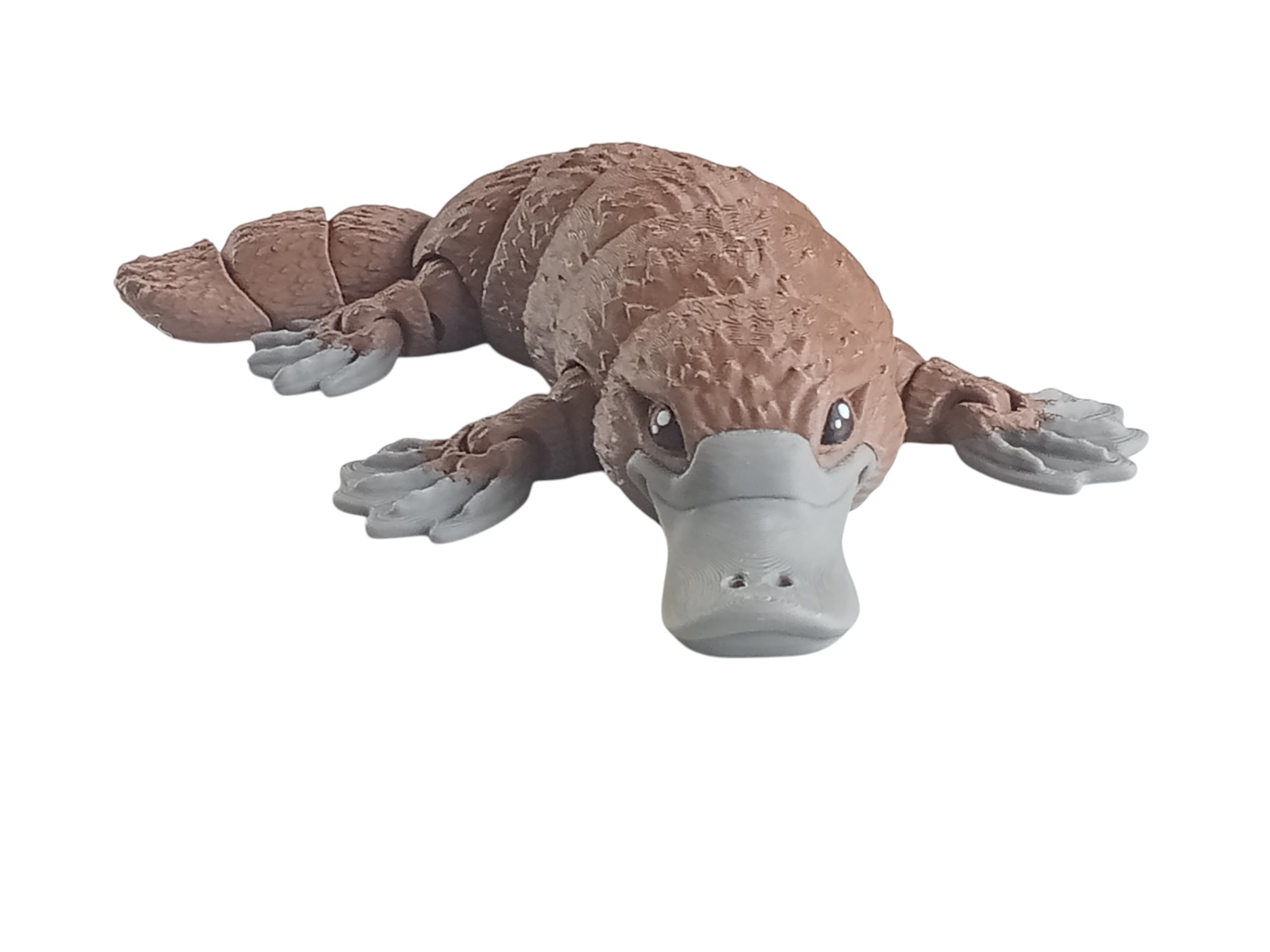 Platypus