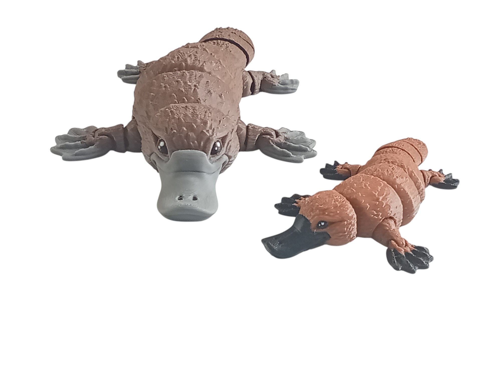 Platypus