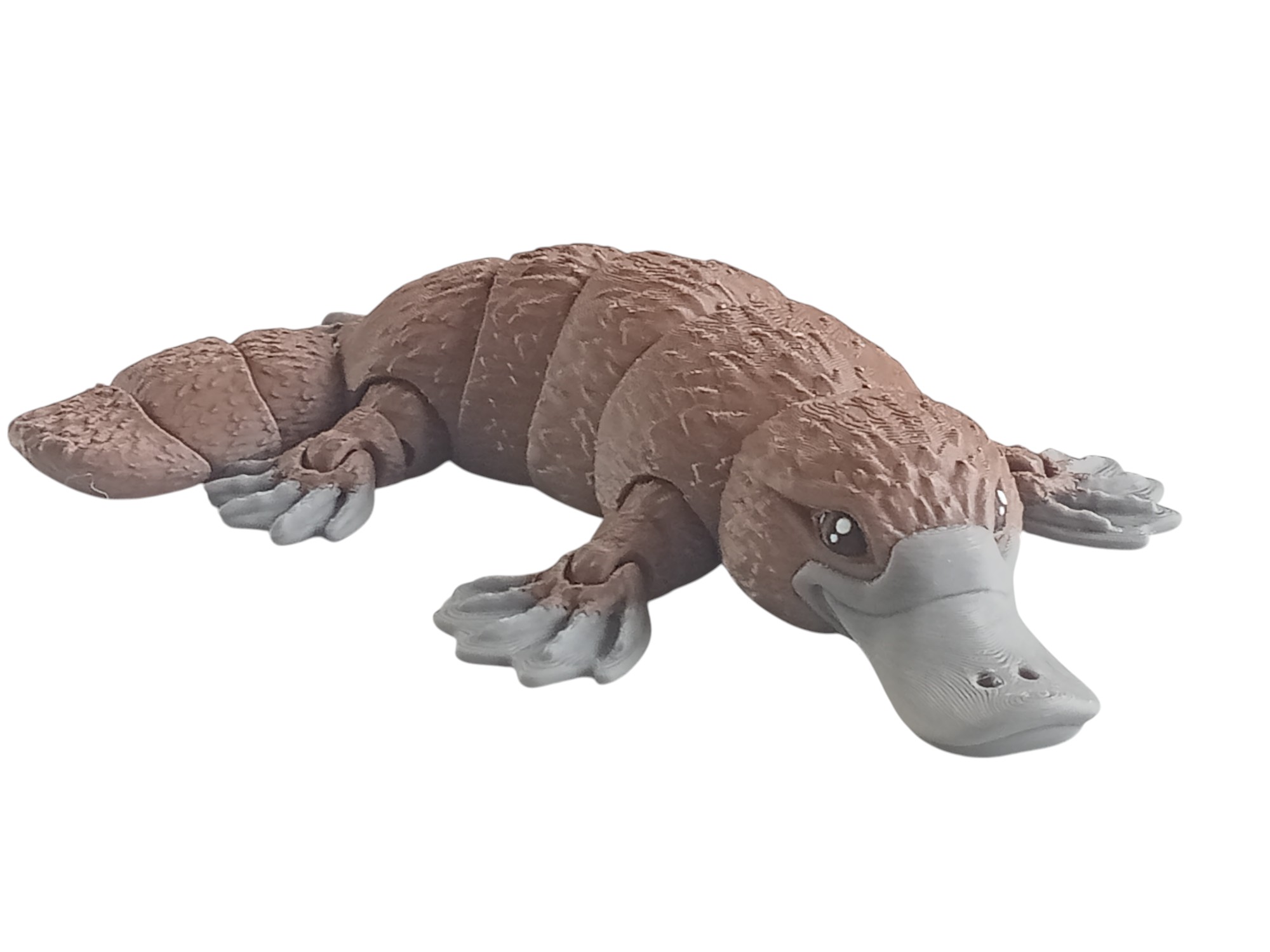 Platypus