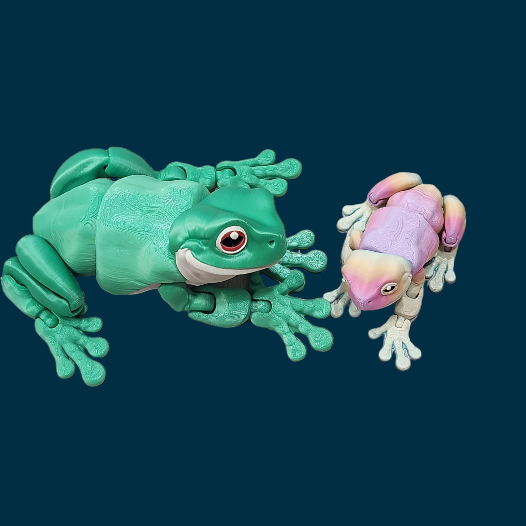 Whites Tree Frog