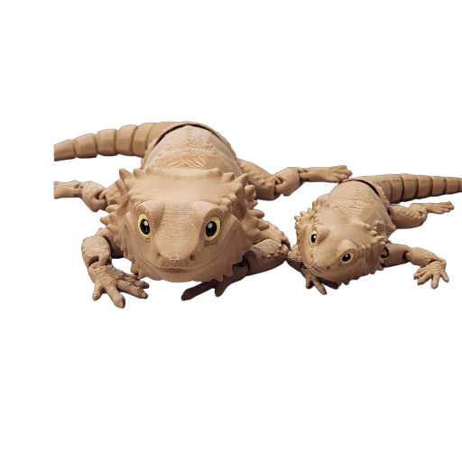 Bearded Dragon