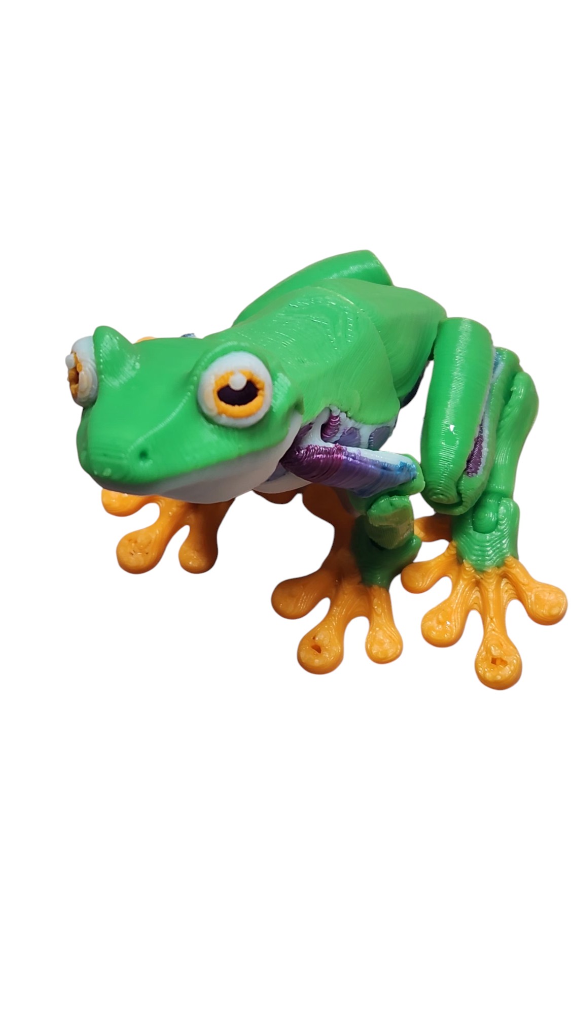 Green Tree Frog