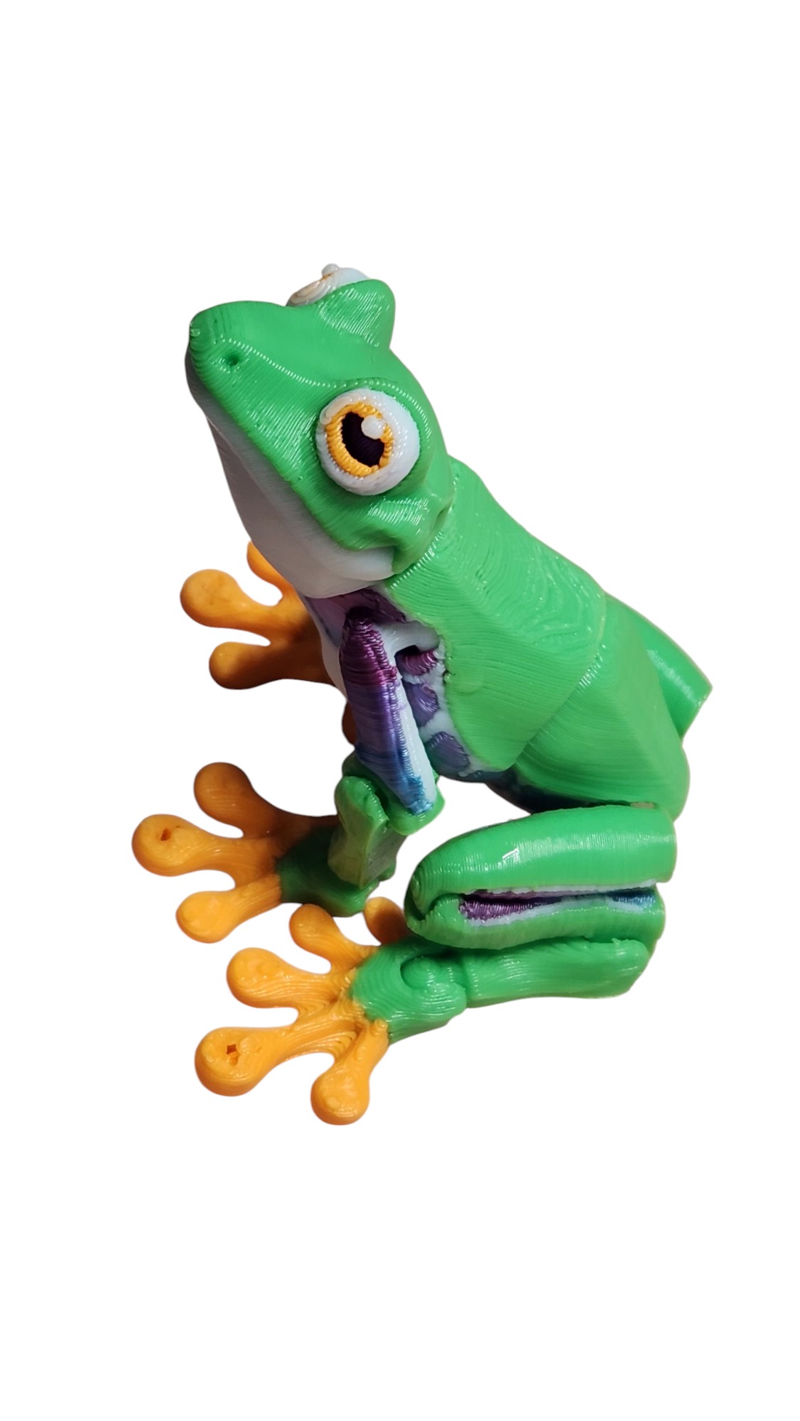 Green Tree Frog