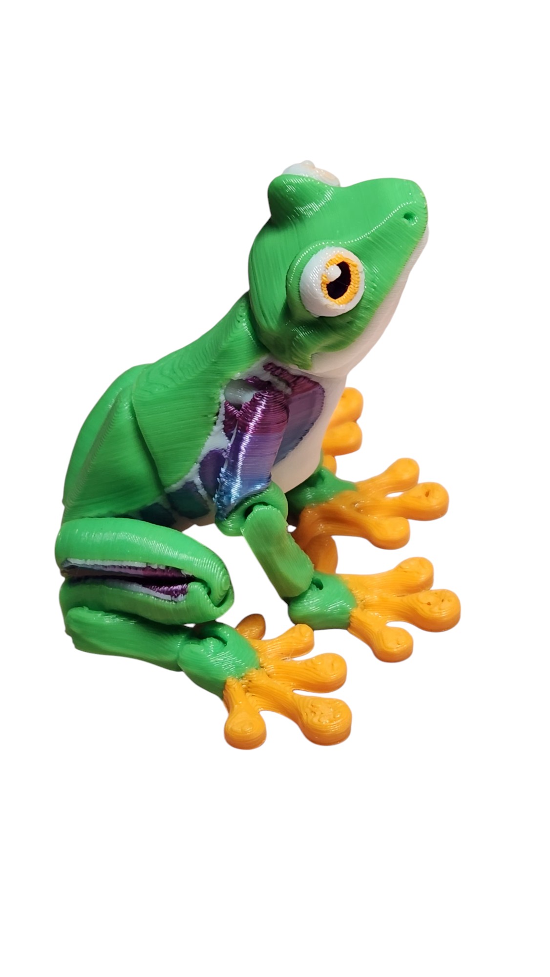 Green Tree Frog
