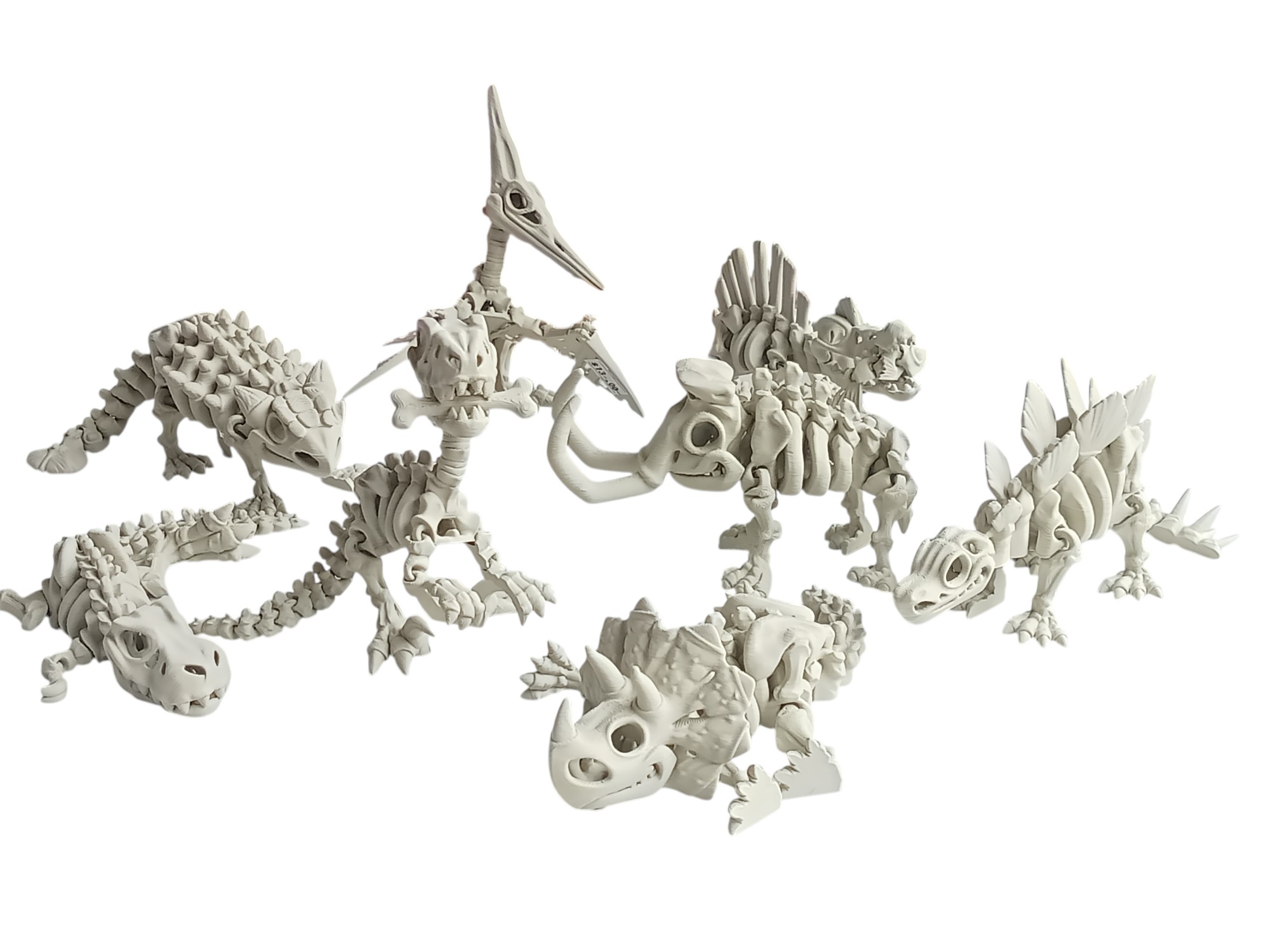 Dinosaur Skeleton