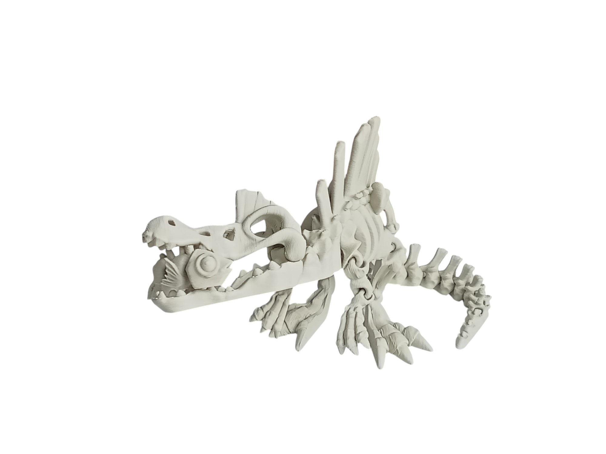 Dinosaur Skeleton
