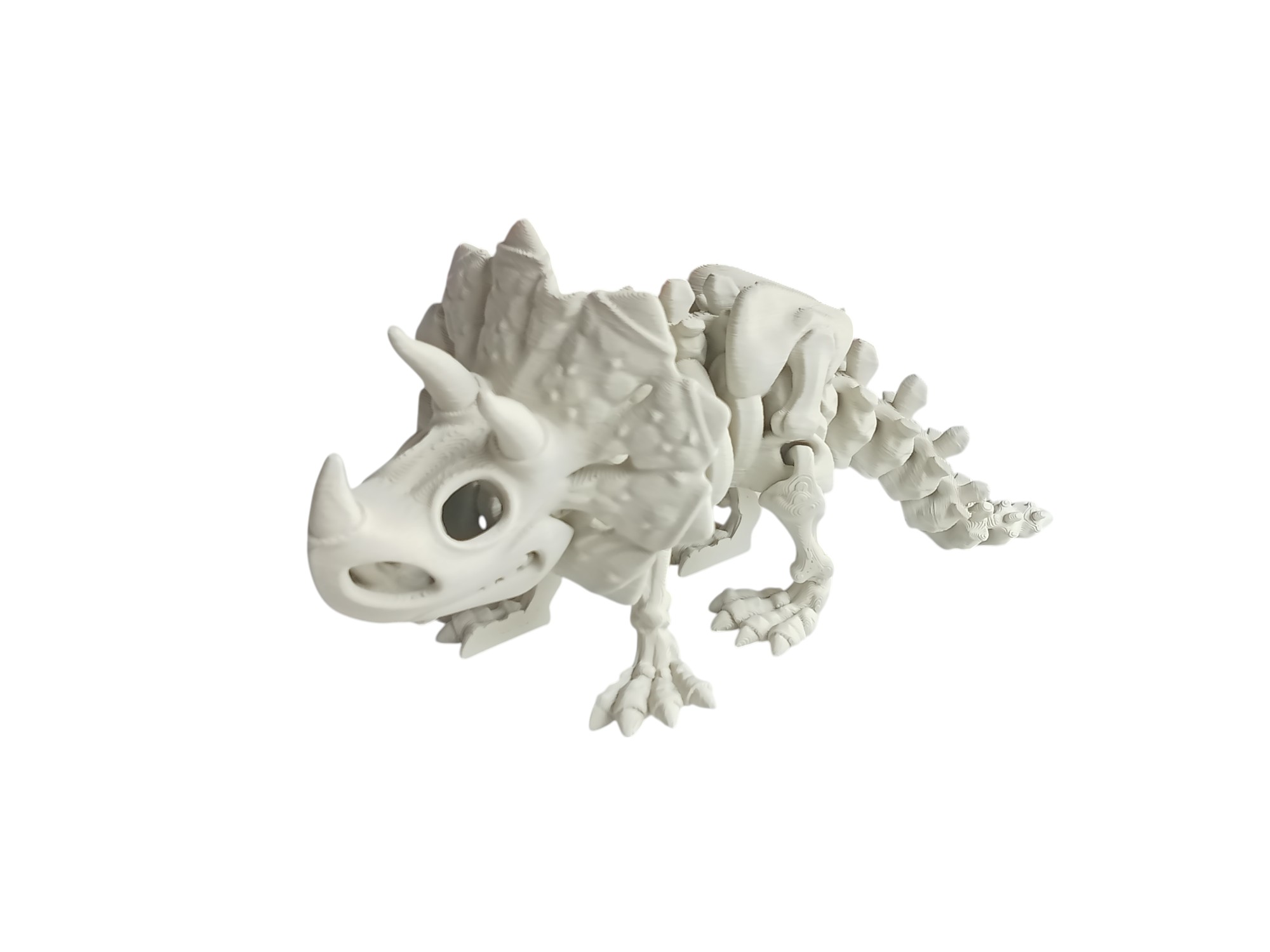 Dinosaur Skeleton
