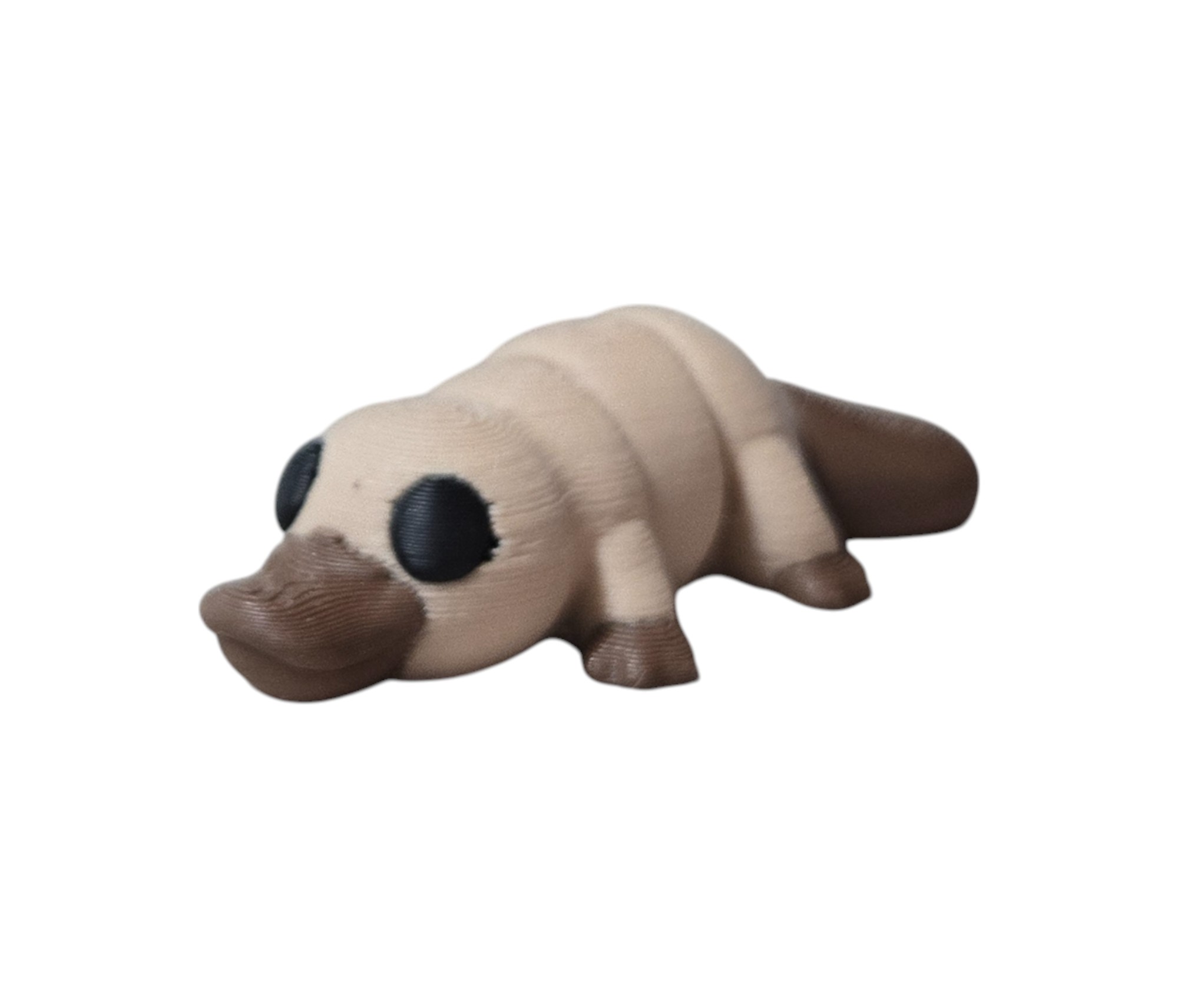 Water Critter Collection