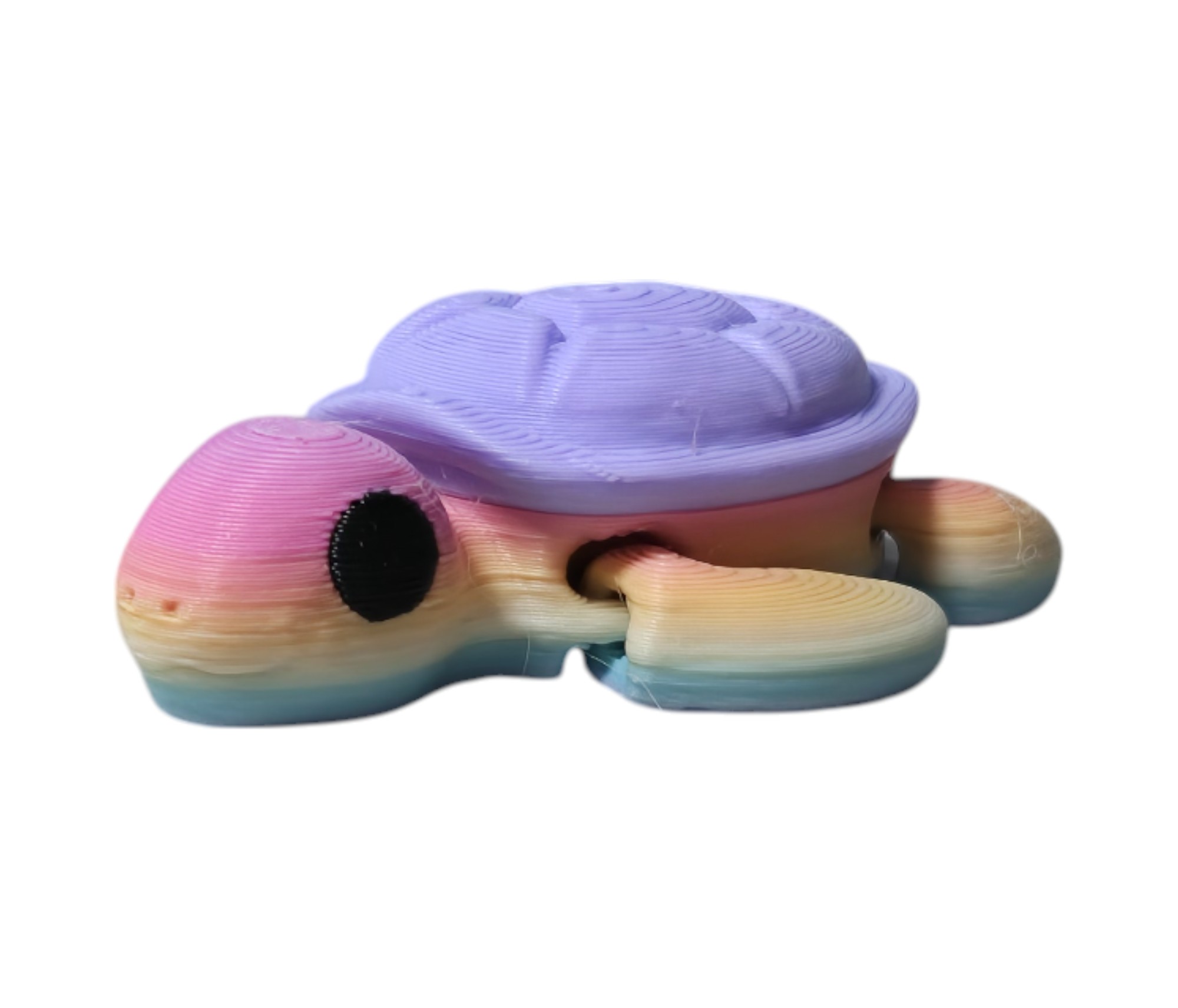 Ocean Critter Collection