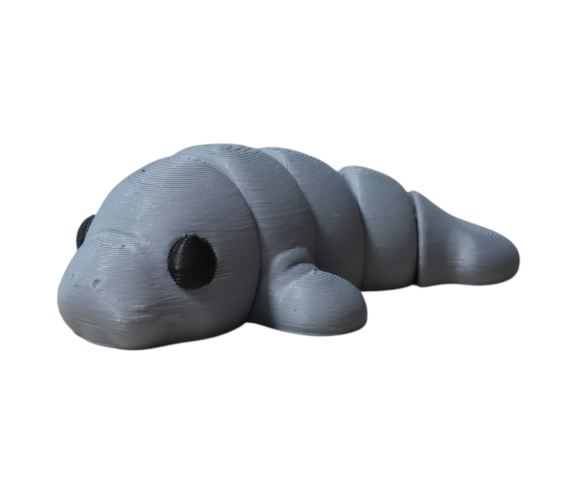 Ocean Critter Collection