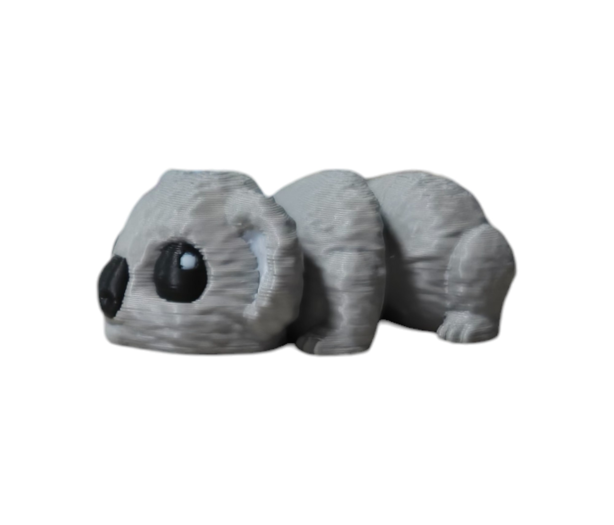 Wild Critter Collection