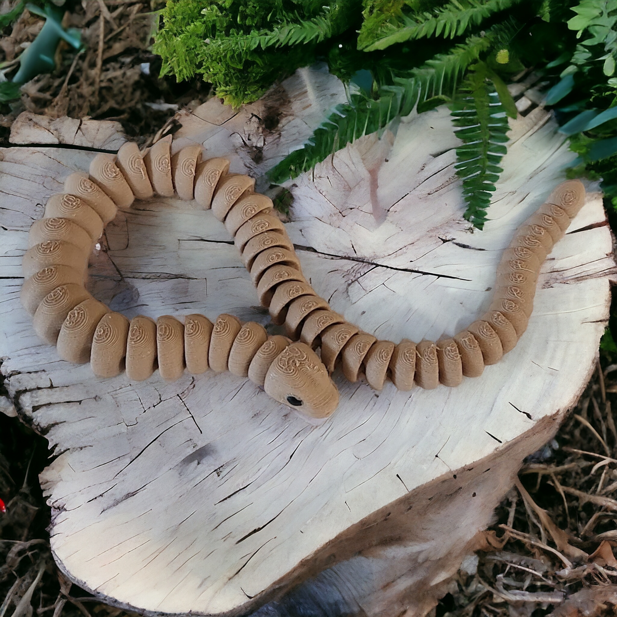Snake