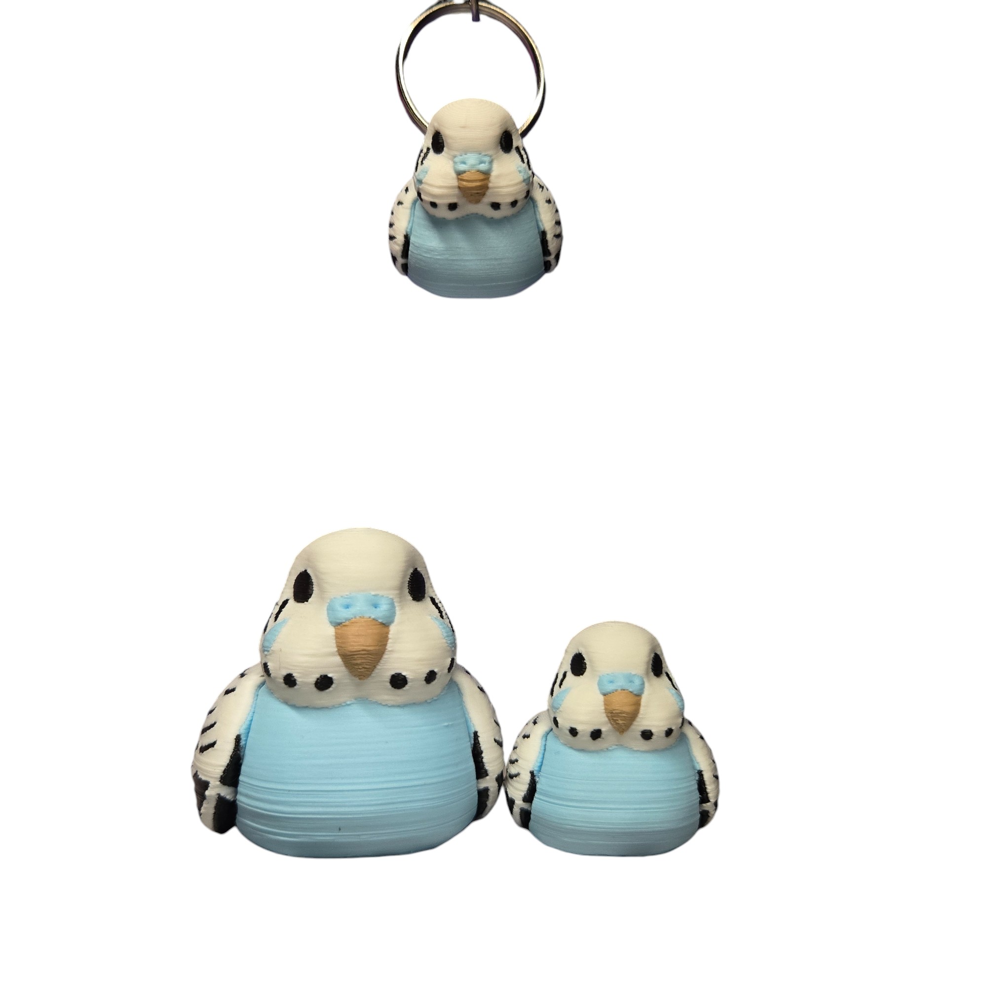 Budgie 
