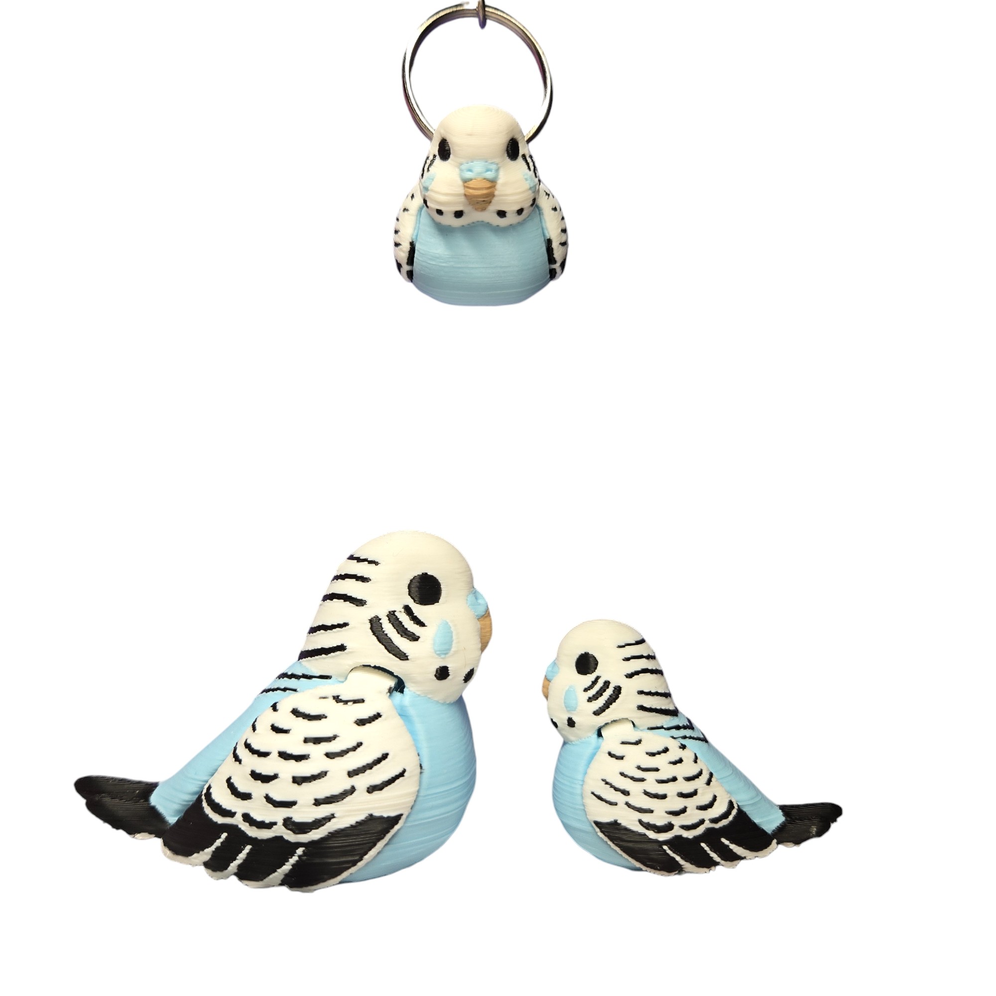 Budgie 