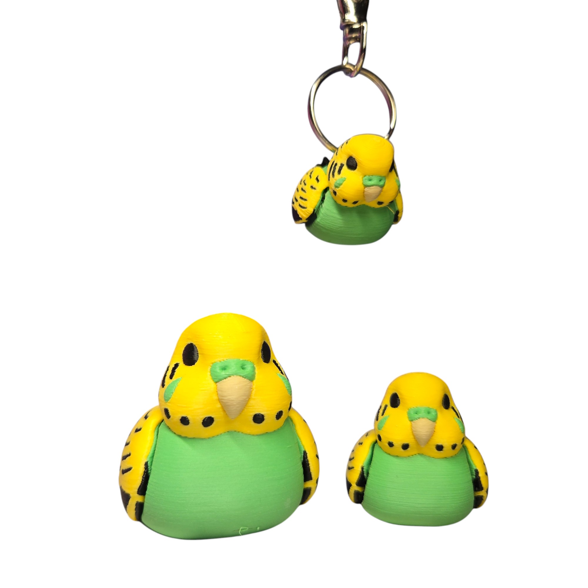 Budgie 