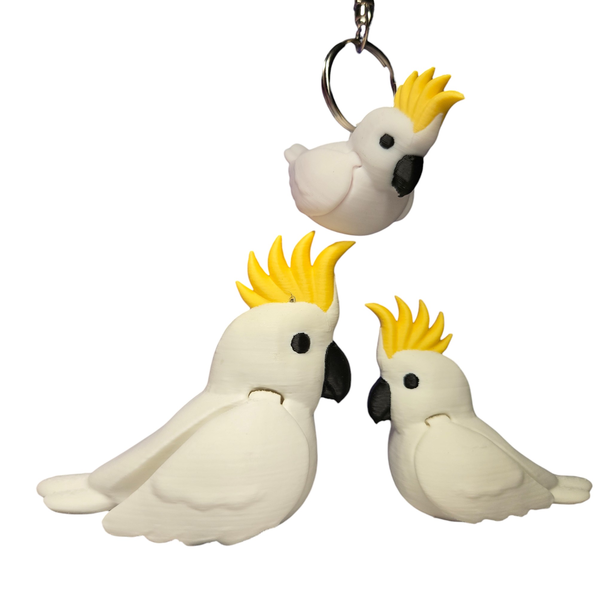 Sulfur Crested Cockatoo